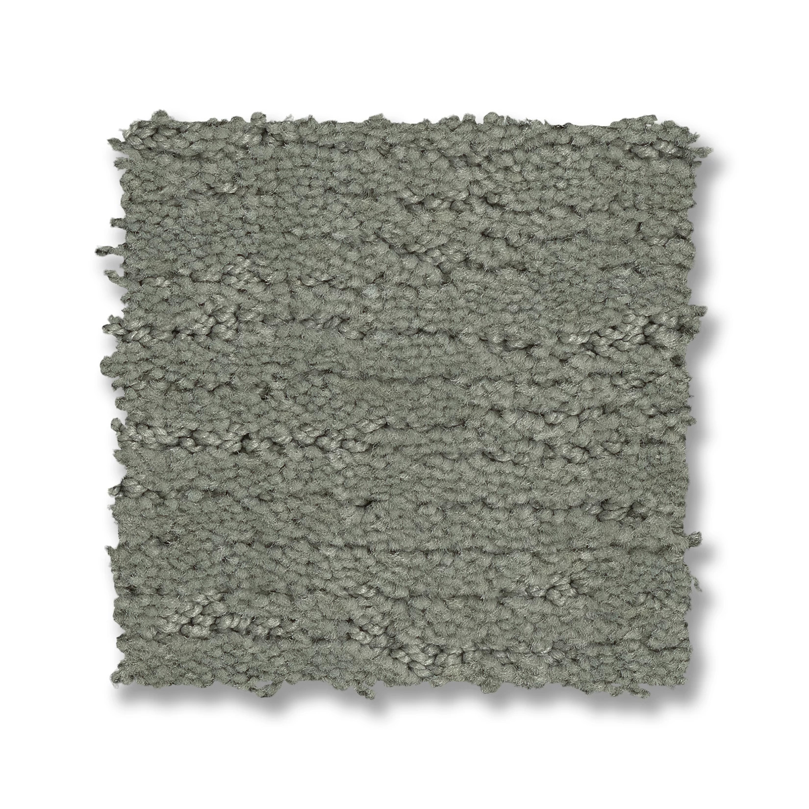 SKETCH PINE FOREST SWATCH