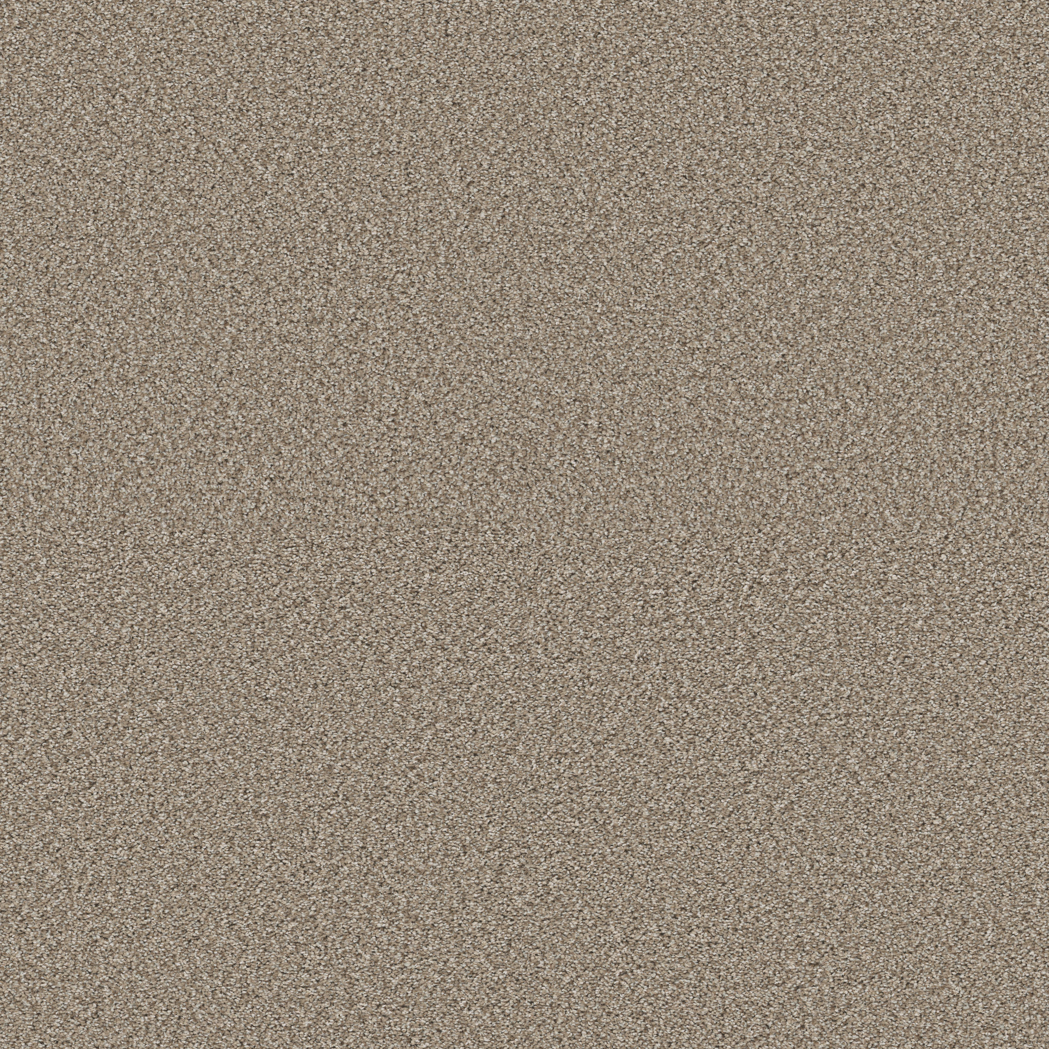 HIGH RANKING B DOCKSIDE MAIN