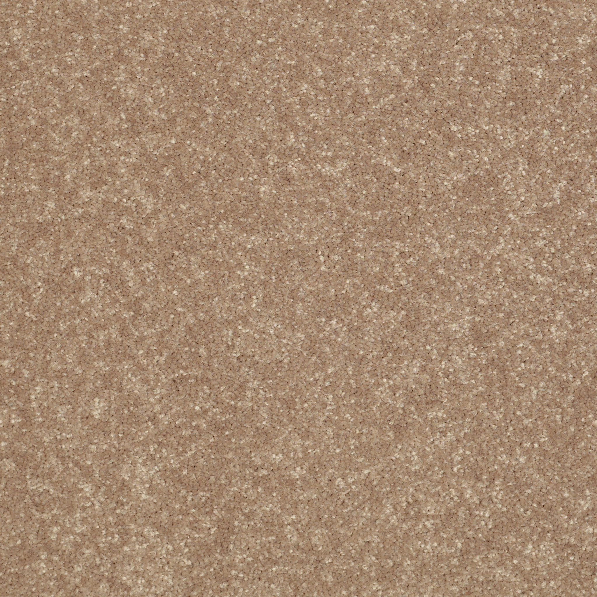 ROYAL PORTRUSH II 15 TASSEL MAIN