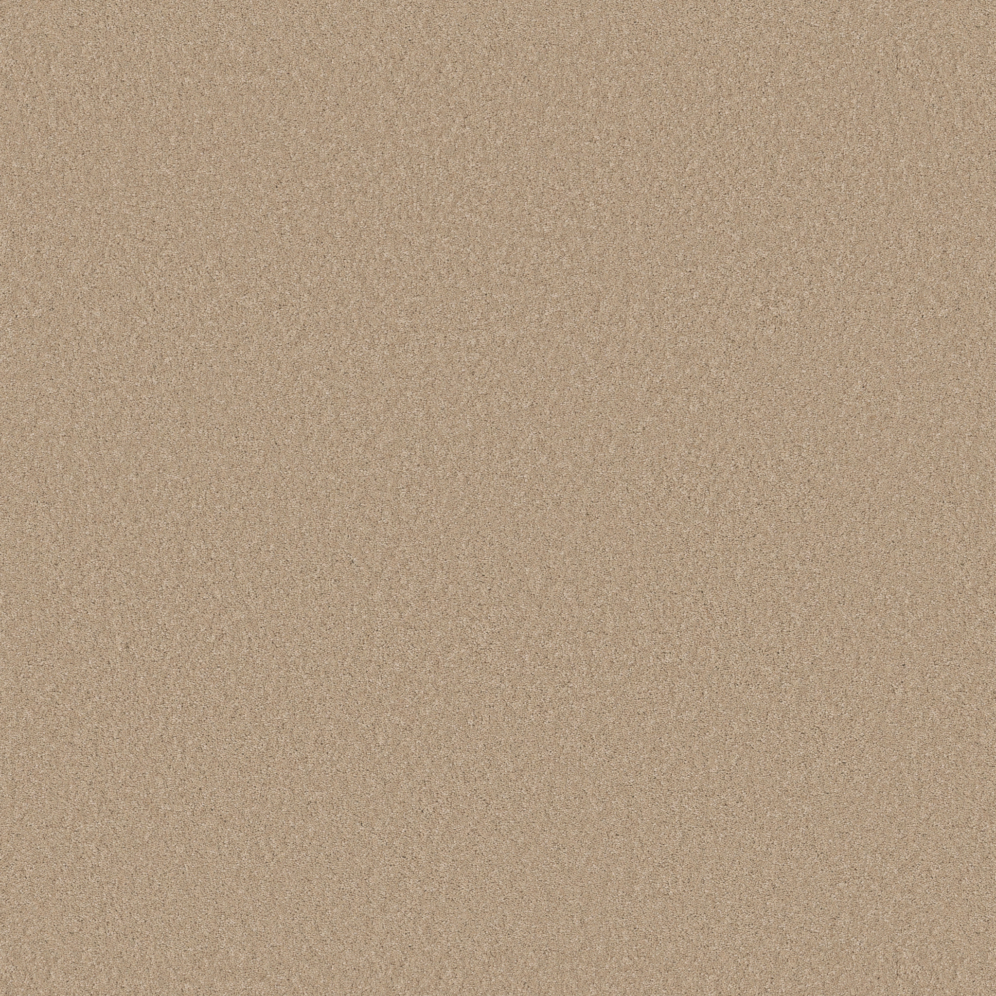 ENDURING CHARM TRANSPARENT MAIN