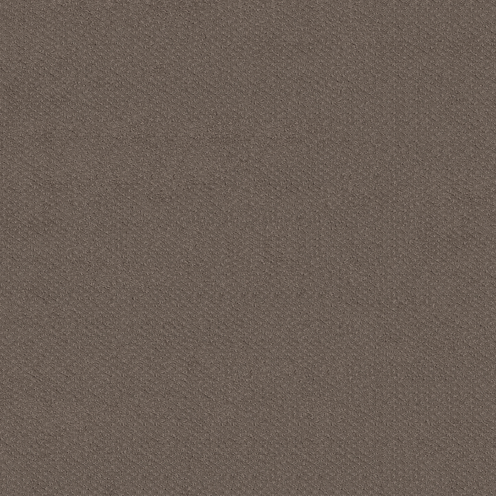 MAINSTAY RIDGEVIEW MAIN