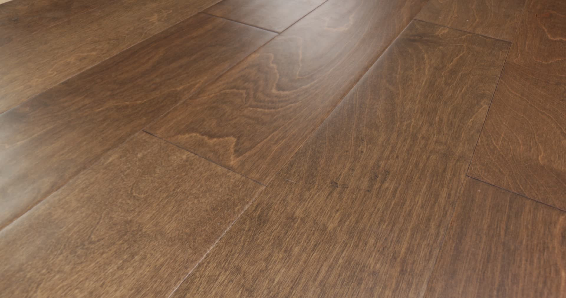 BISCAYNE BAY REEF 360PROD