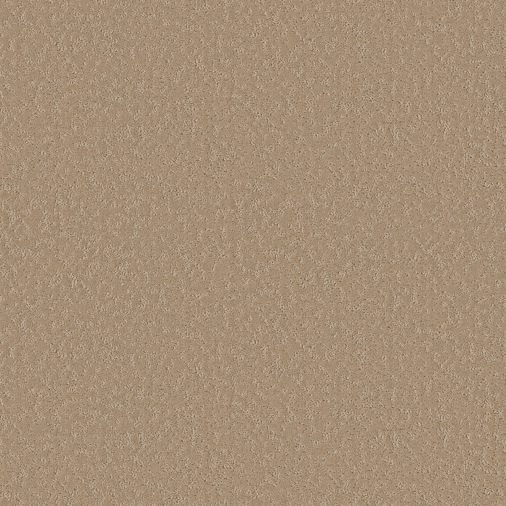 CLEVER CHOICE WORN  PATH MAIN