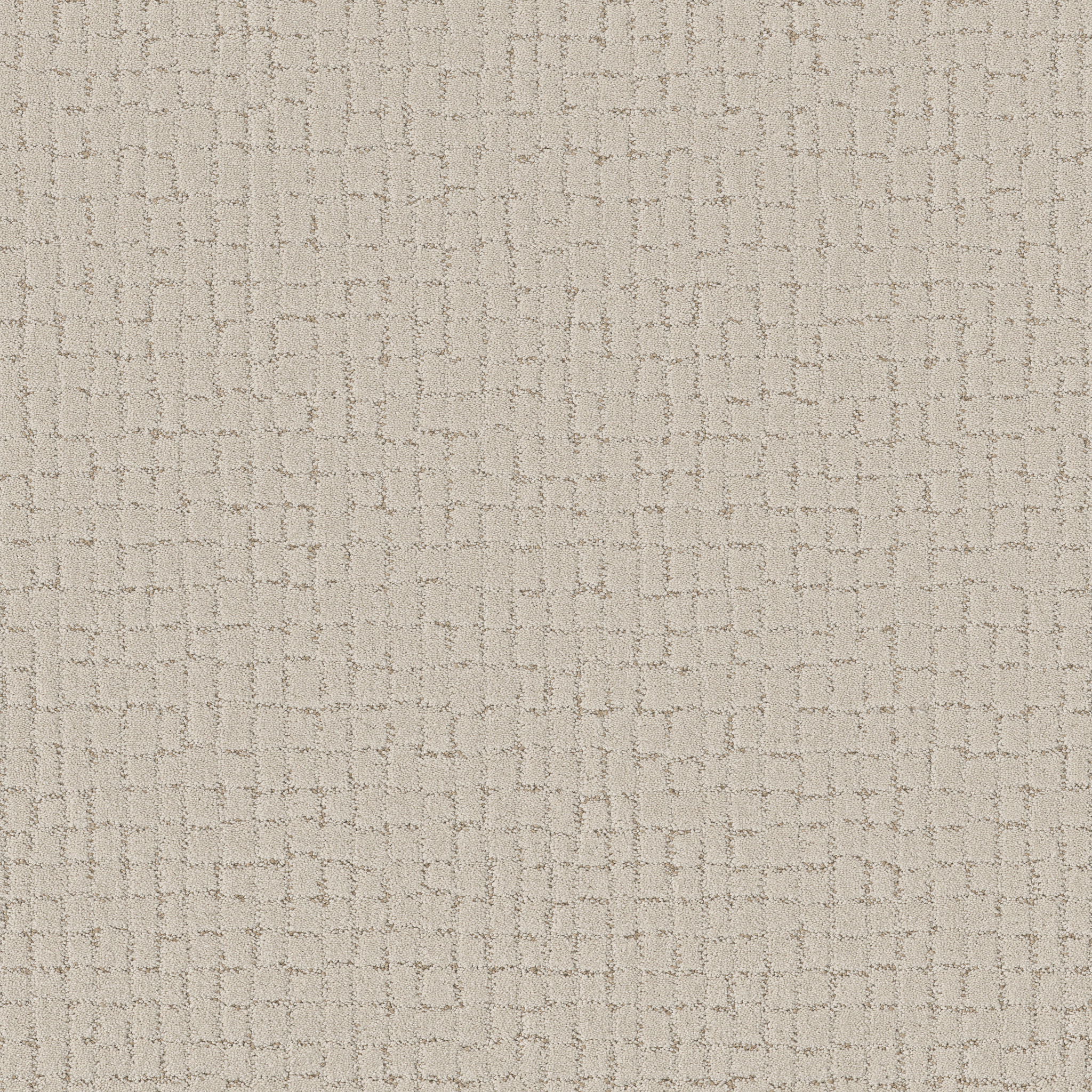 BLOCK PARTY NATURAL MAIN