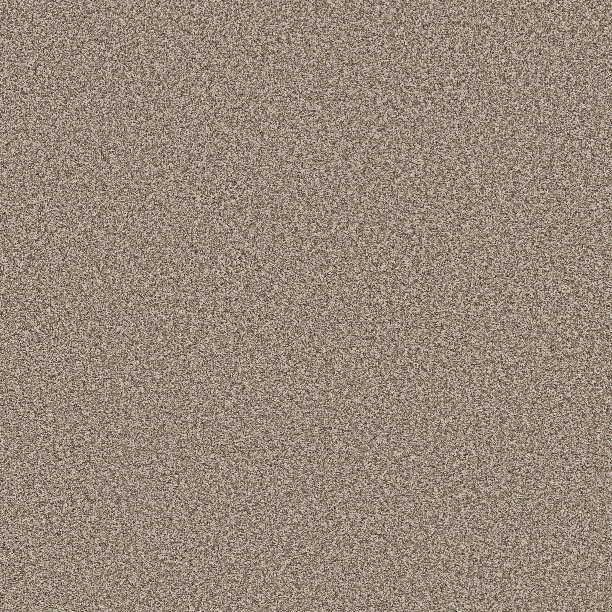 MIRA NOVA PASHMINA MAIN