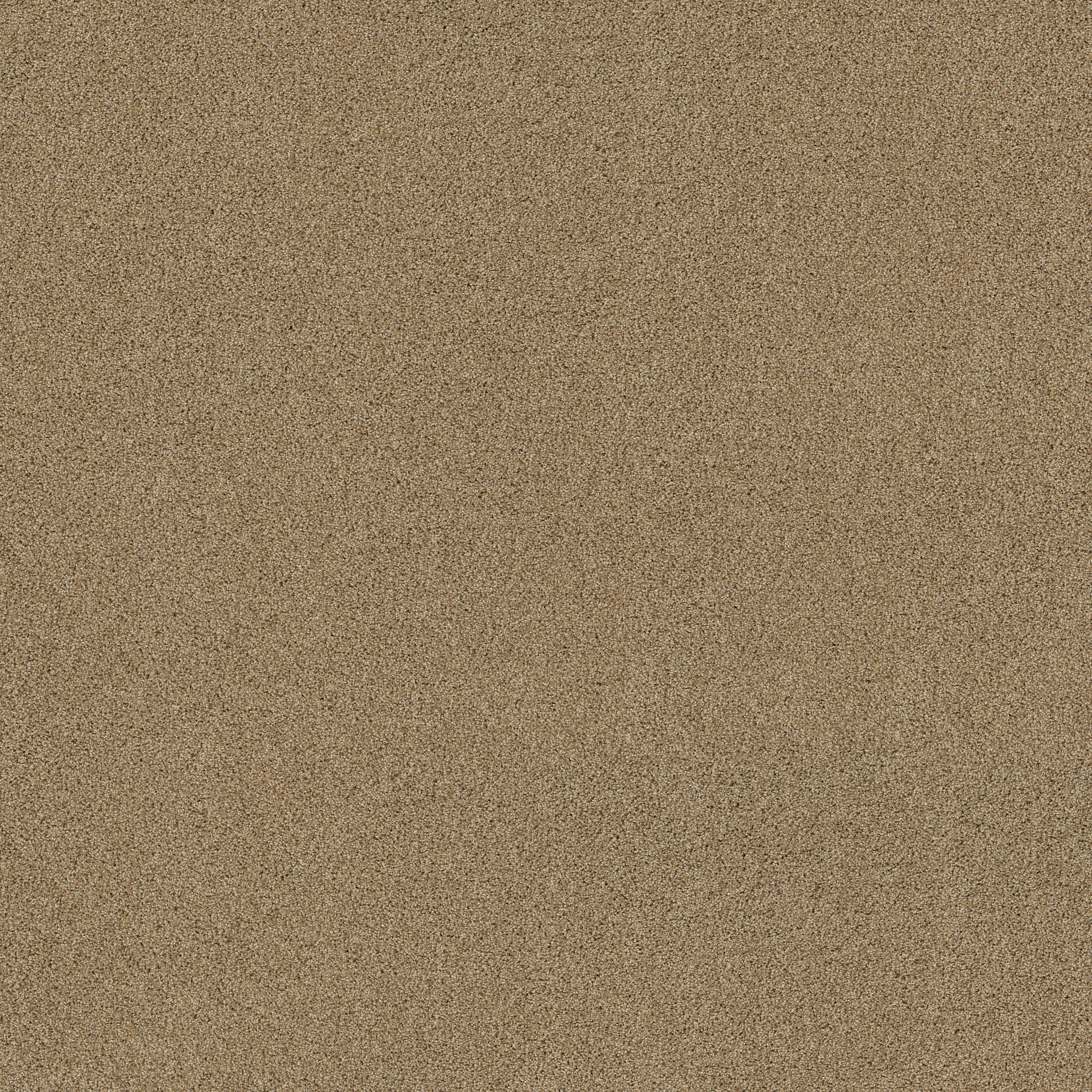 ACADIA PARK CARAMELO MAIN