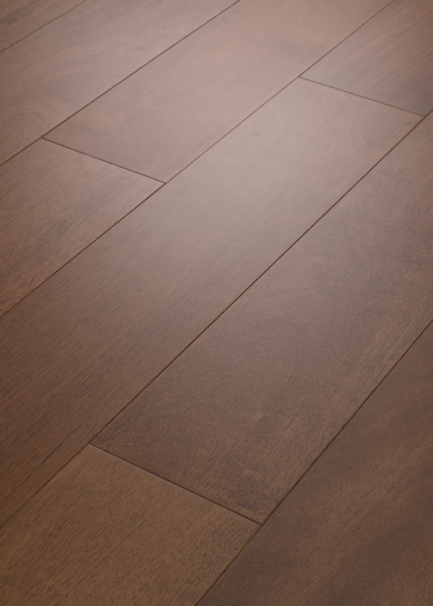 BRASILIA ARGAN ANGLED