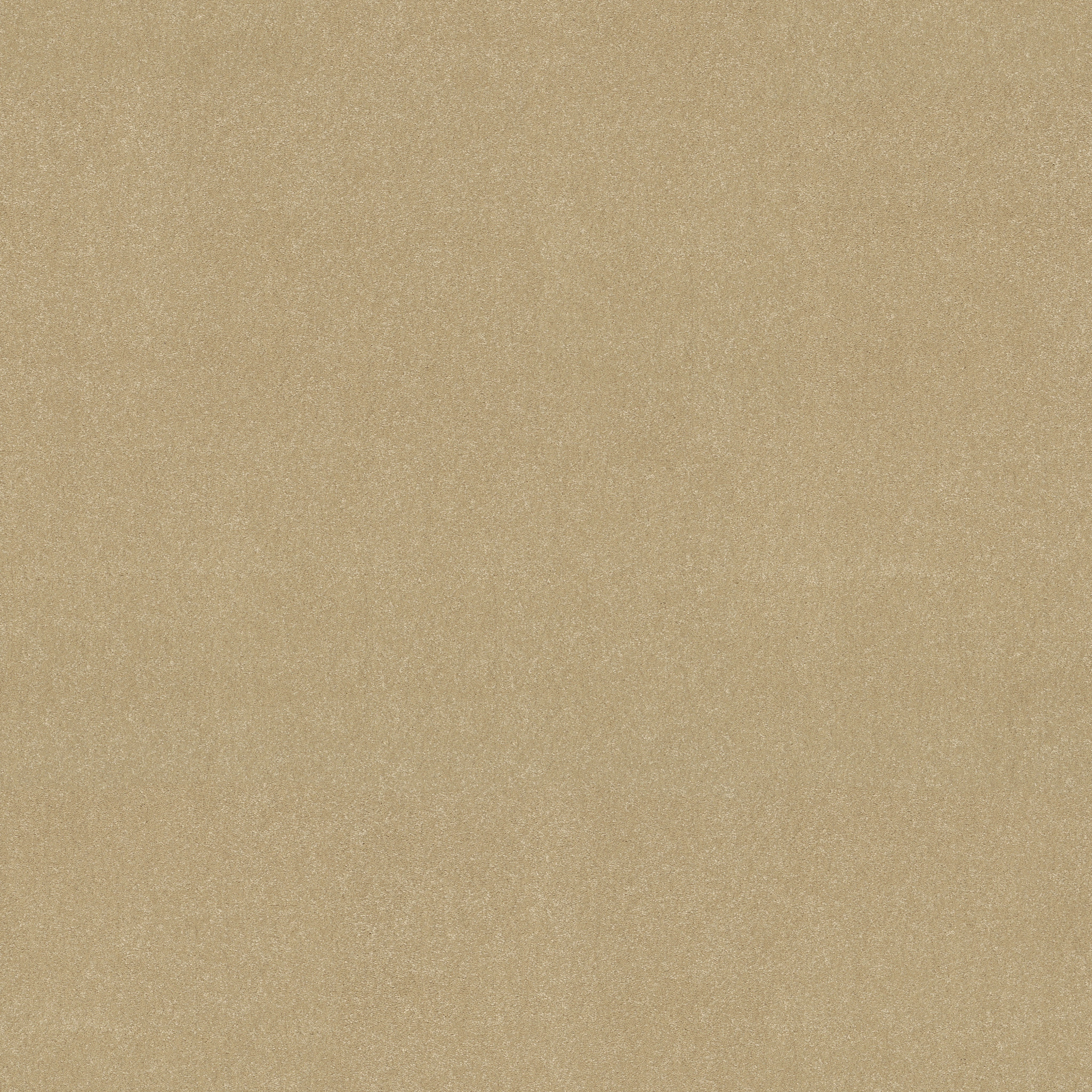 AWAKEN SPIRIT II 12' SUGAR COOKIE MAIN