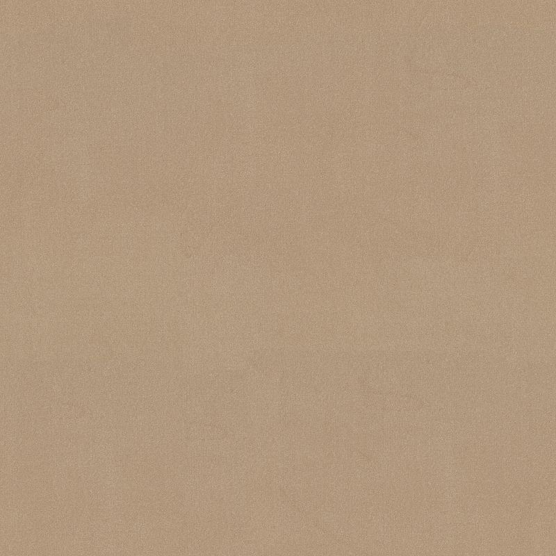 Emphatic 36 Broadloom Carpet in Candlewick color, 100% Nylon, 12ft width