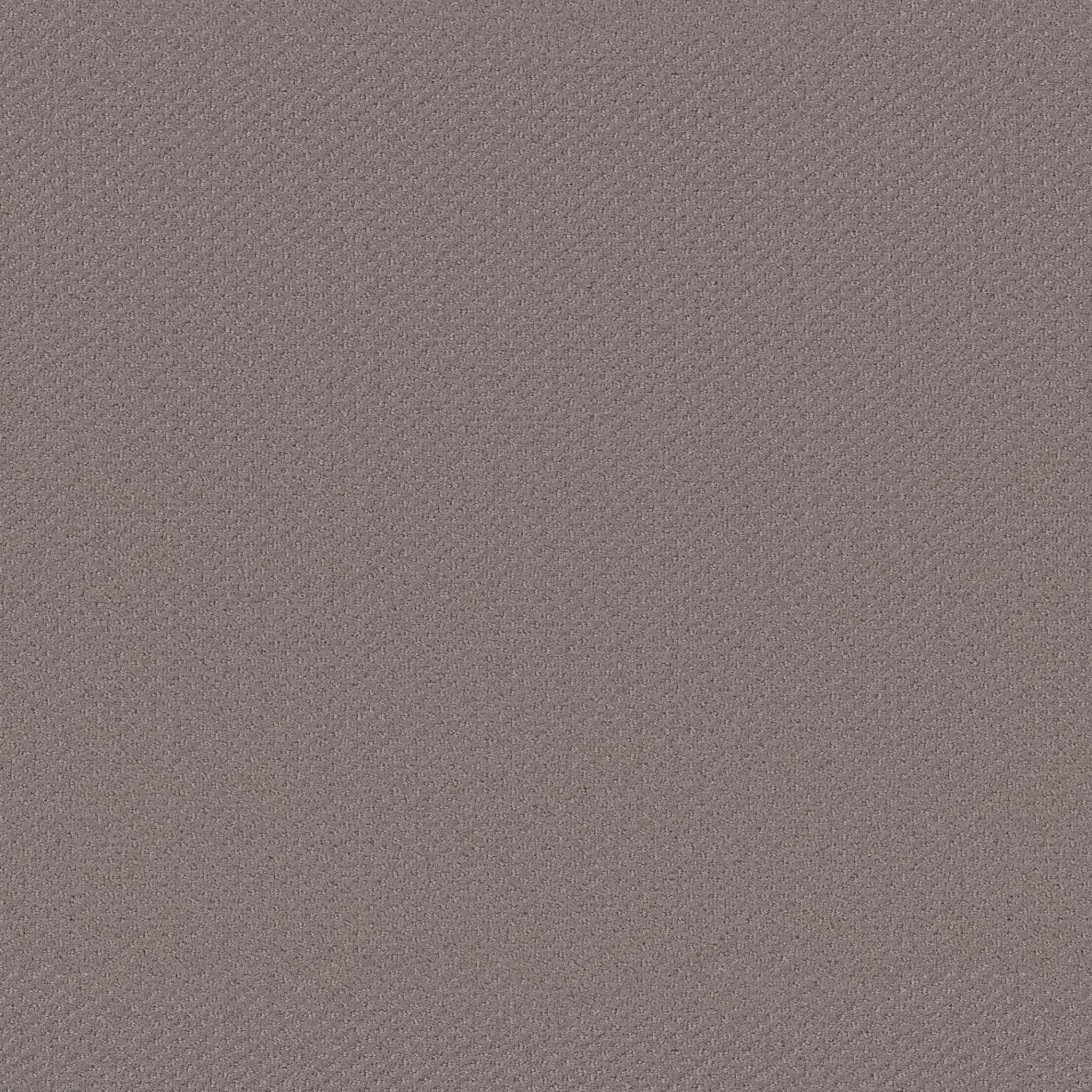 AUSTIN PARK RUSTIC VIBE MAIN