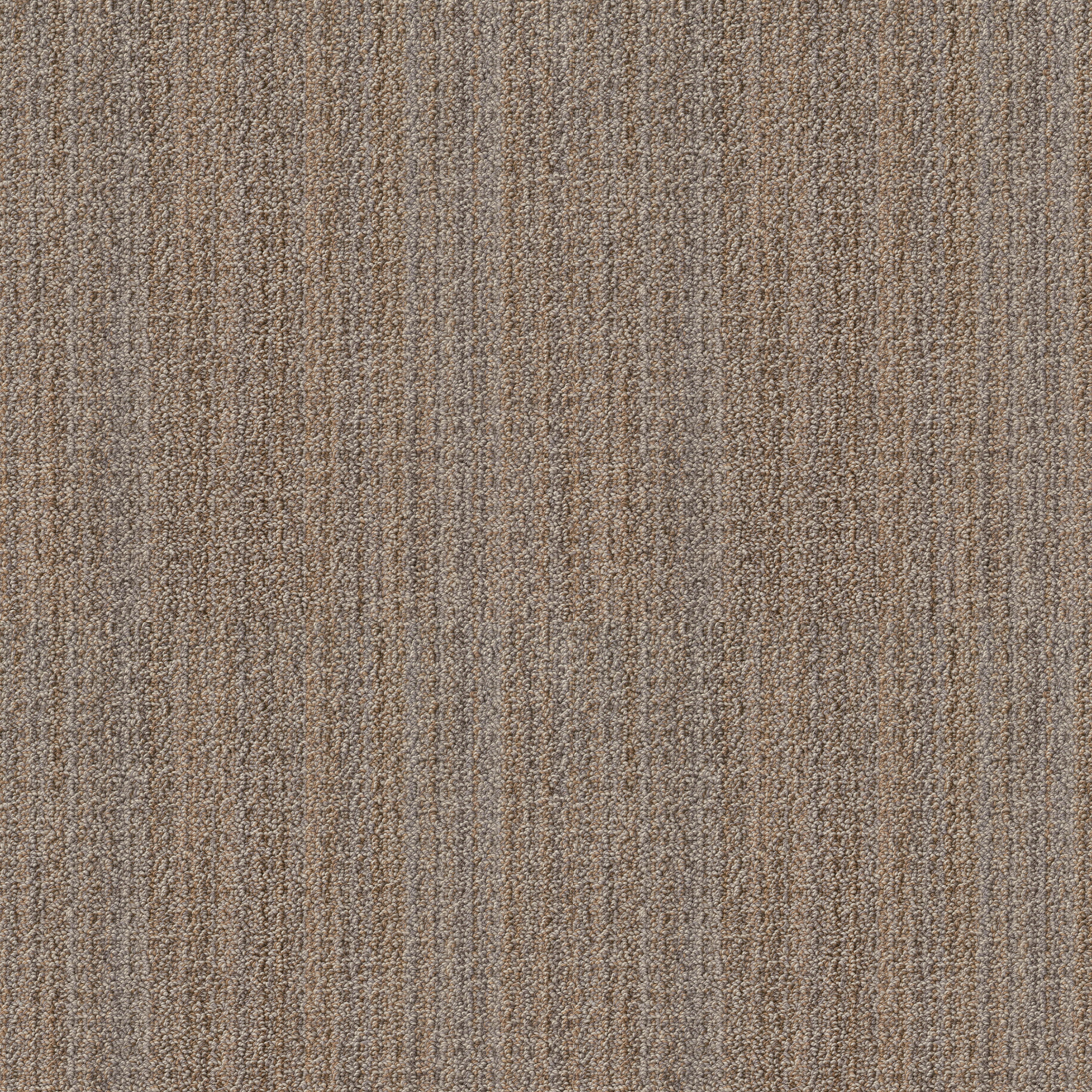 SUNDANCE NOMADIC MAIN