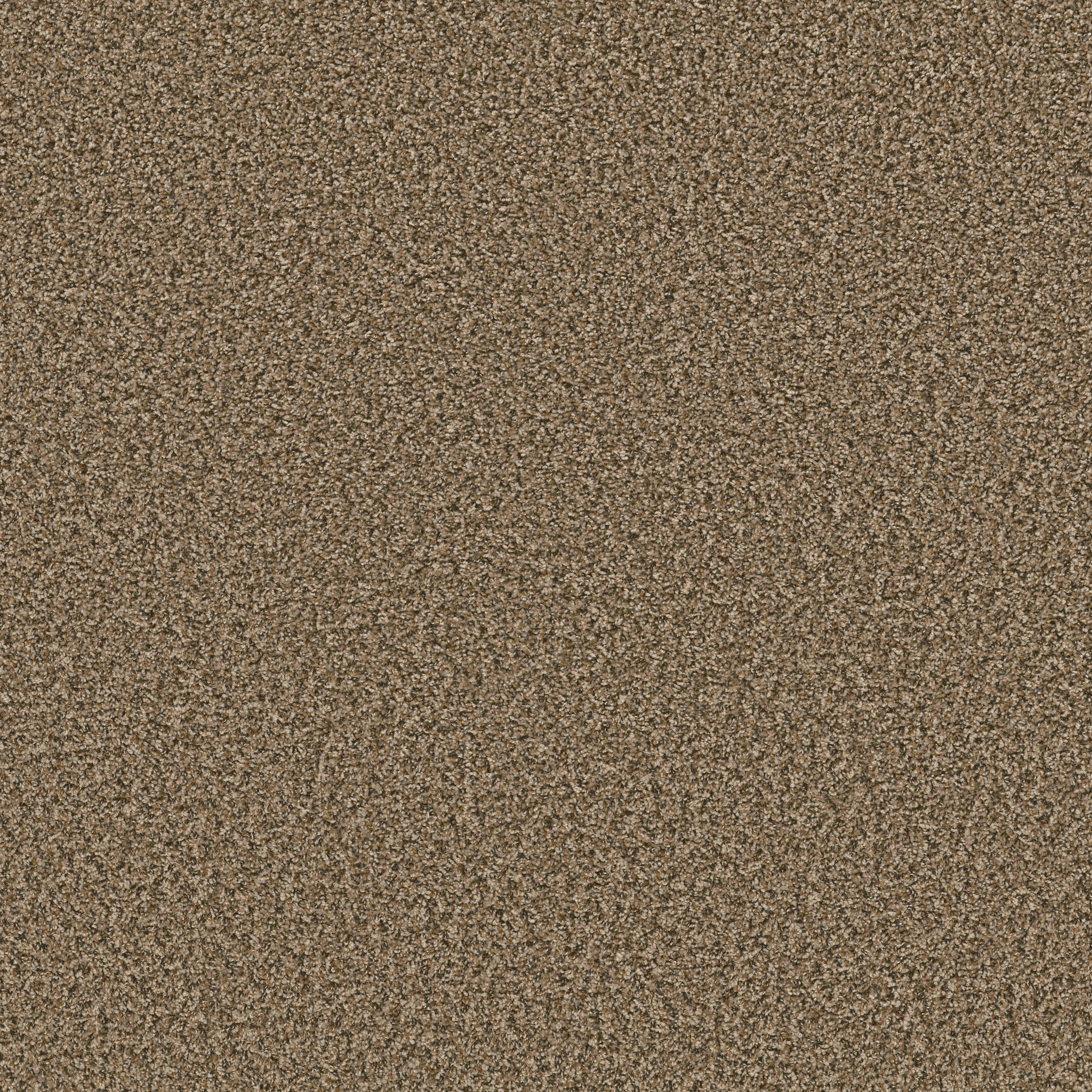 Break Away - Berber DESERT MAIN