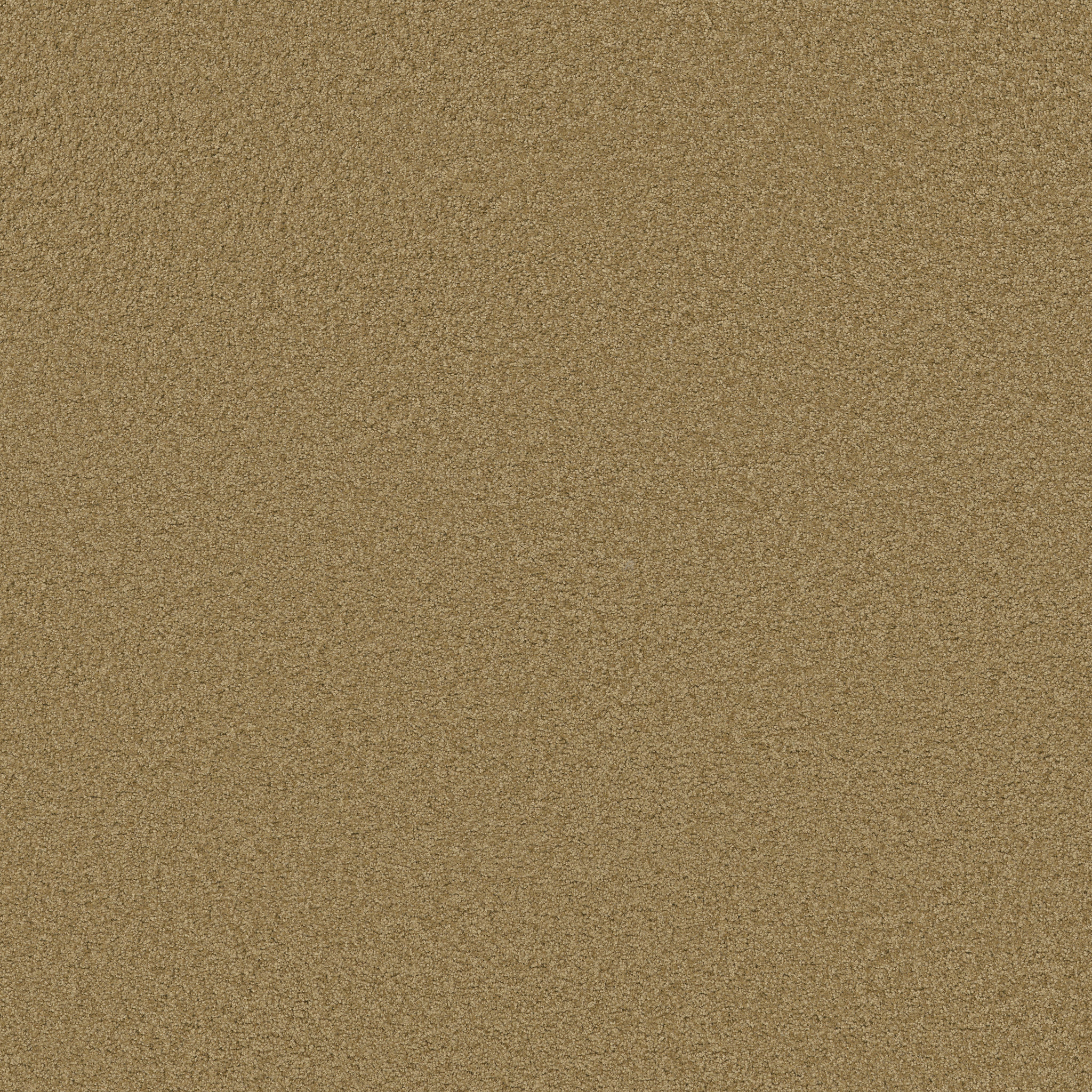 LUXURY BAY III COUNTRY WHEAT MAIN