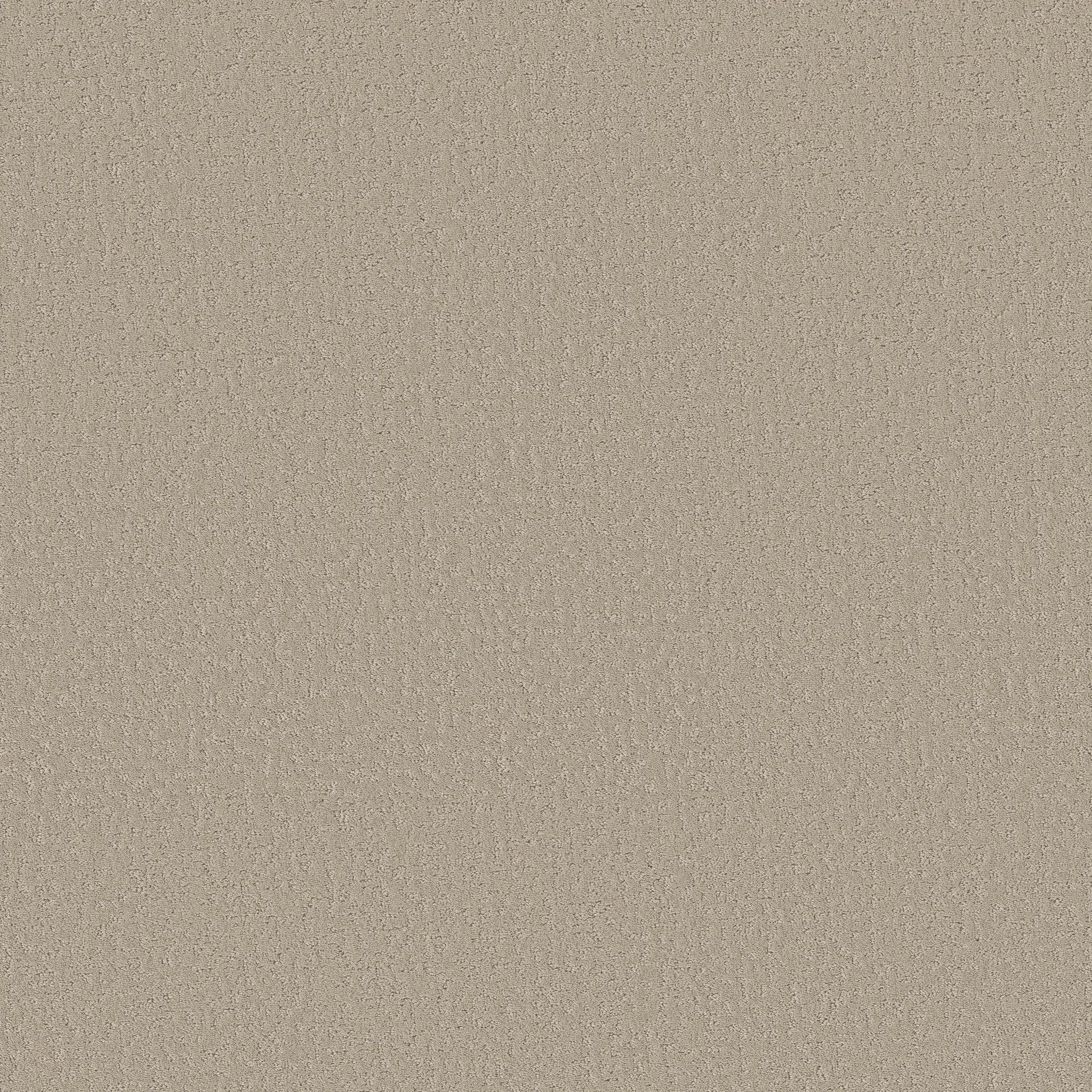 experience-the-luxurious-comfort-of-stroke-of-luck-carpet-floor-elevate-your-space-with-tonal-elegance-and-softbac-technology