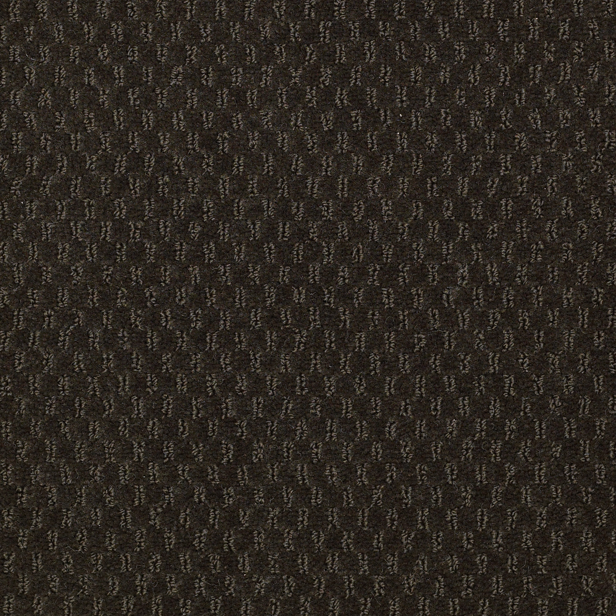 ELEMENTS-Q0421-JUNGLE-VINE-21353-main-image