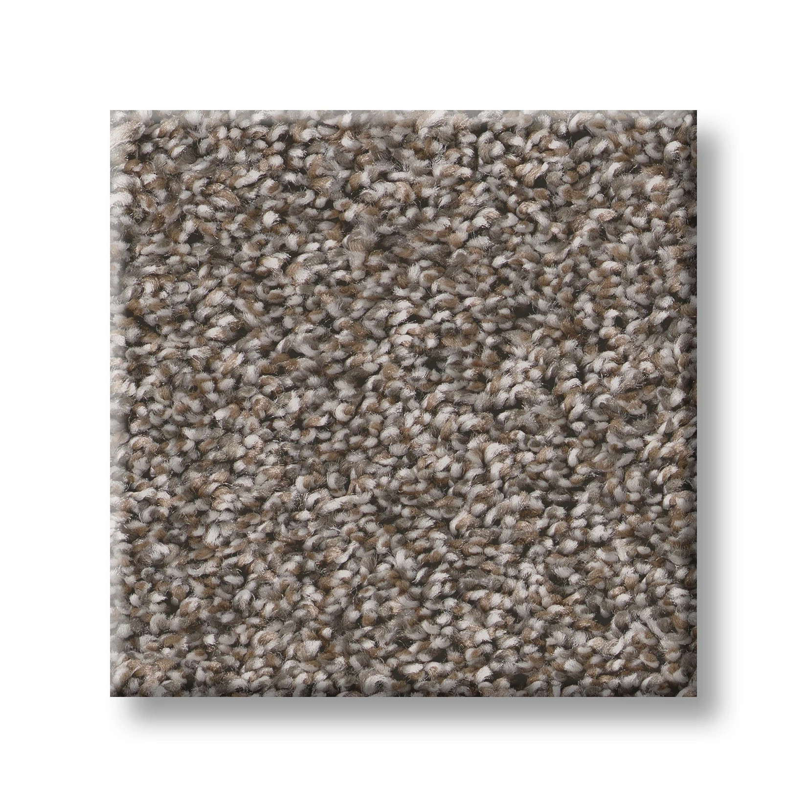 REMIXED CLASSIC NATURE TRAIL SWATCH