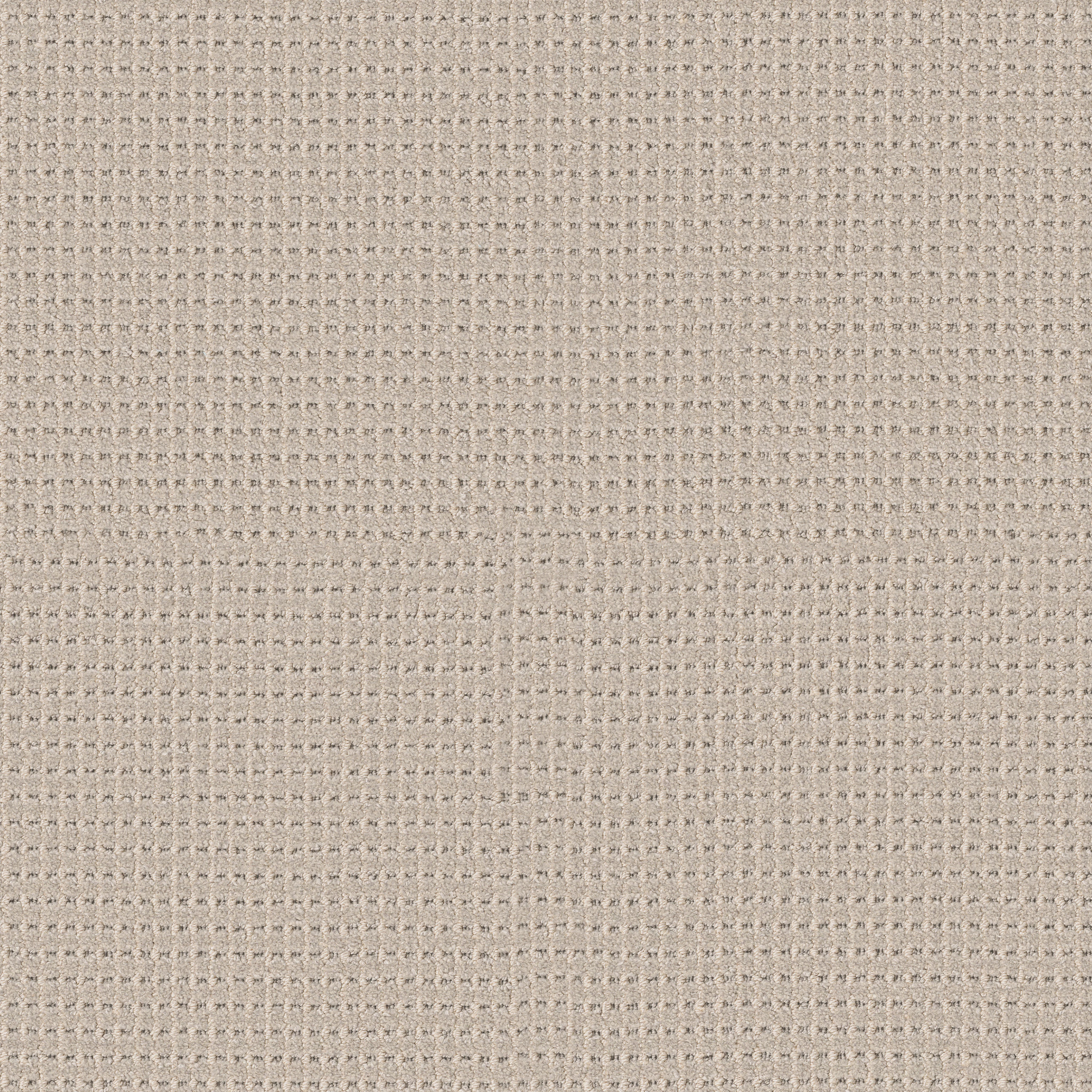 RHODE TOASTED ALMOND MAIN