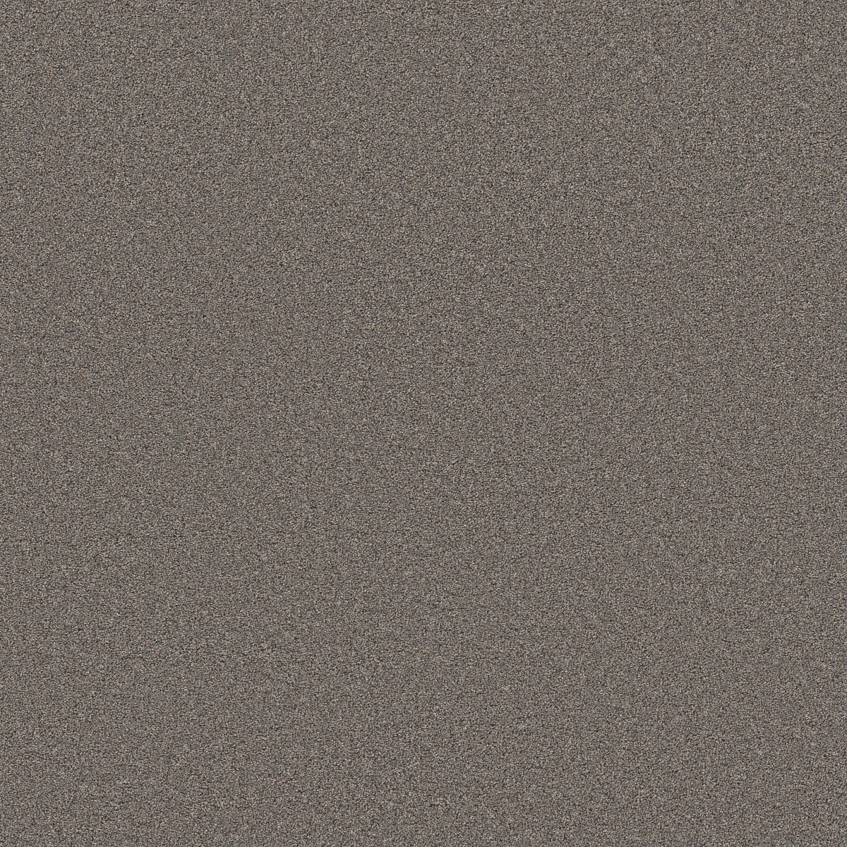 BLENDED TOUCH I — BALTIC BROWN