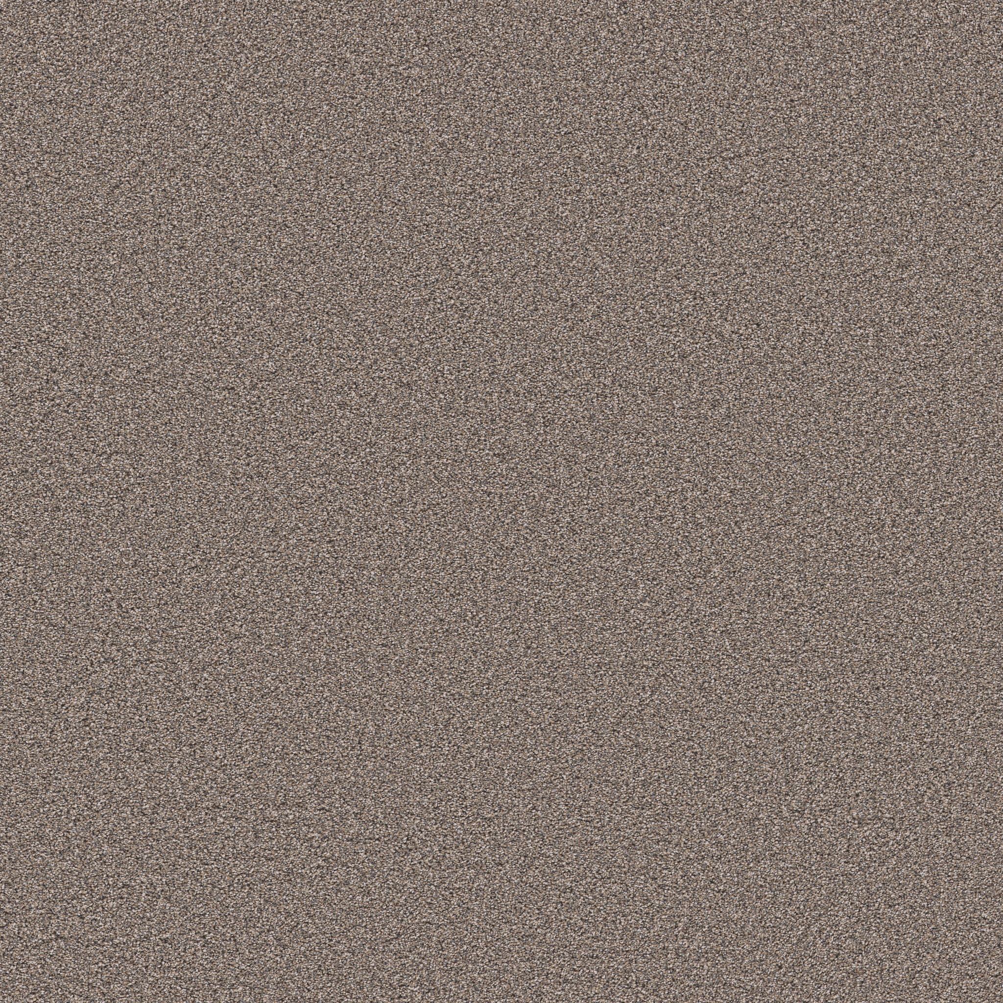 GRAND INFLUENCE I MUSHROOM MAIN