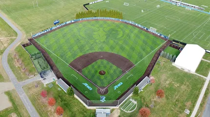 Baseball field with artificial turf and ram logo aerial view. Aerial view of a baseball field with artificial turf featuring a large ram logo in the center