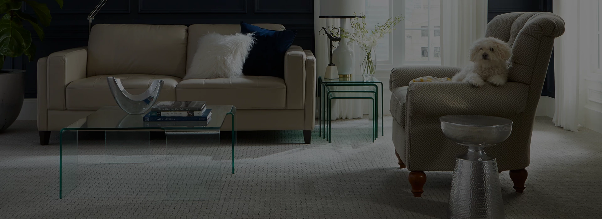 Living room with a patterened carpet and a dog sitting in a chair