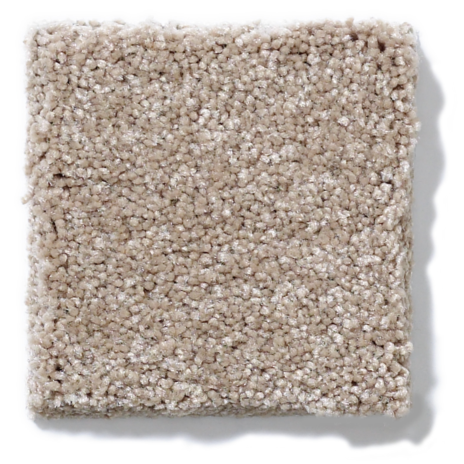 BEAUTIFULLY SIMPLE HAVANA SWATCH