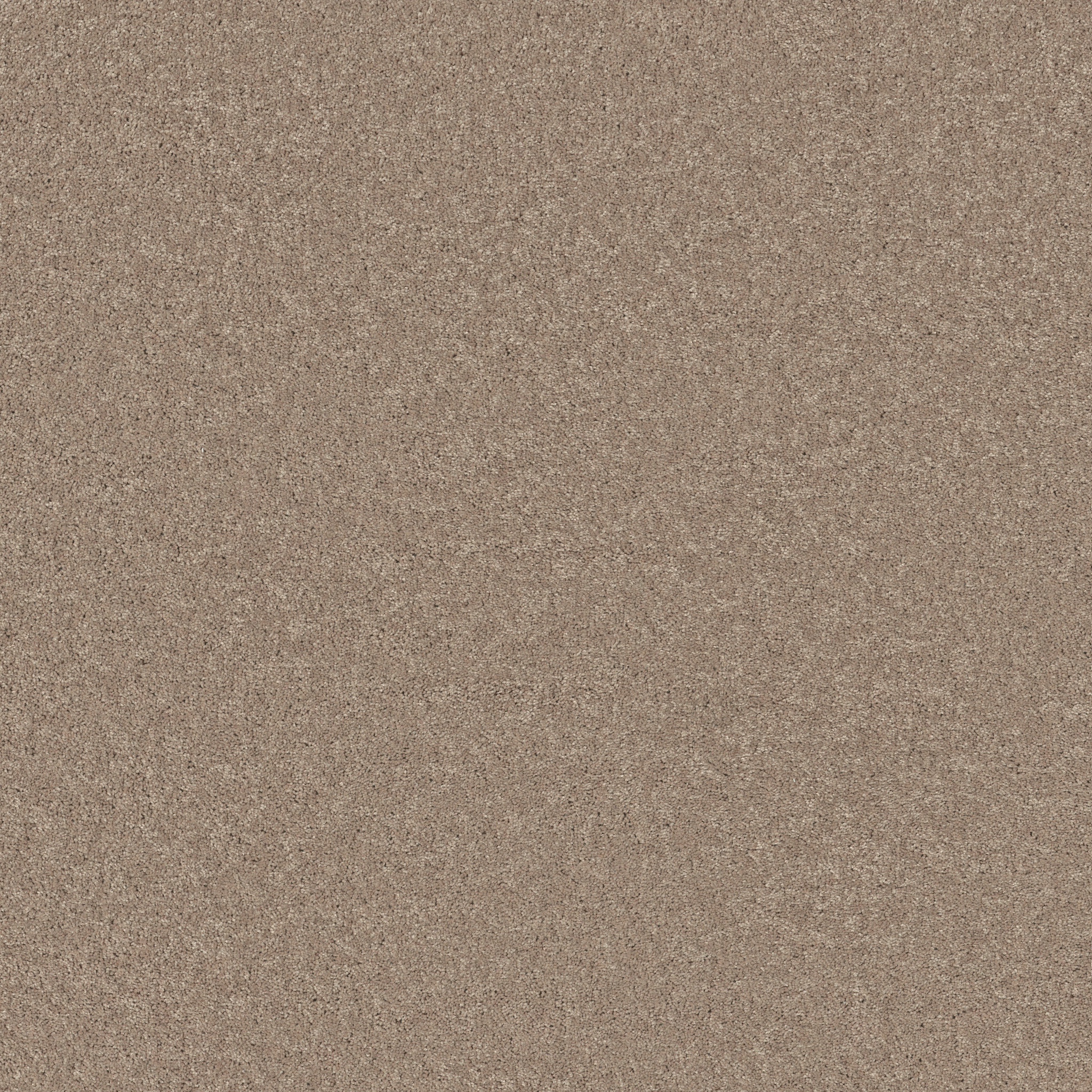 BEAUTIFULLY SIMPLE II 15' SANDY NOOK MAIN