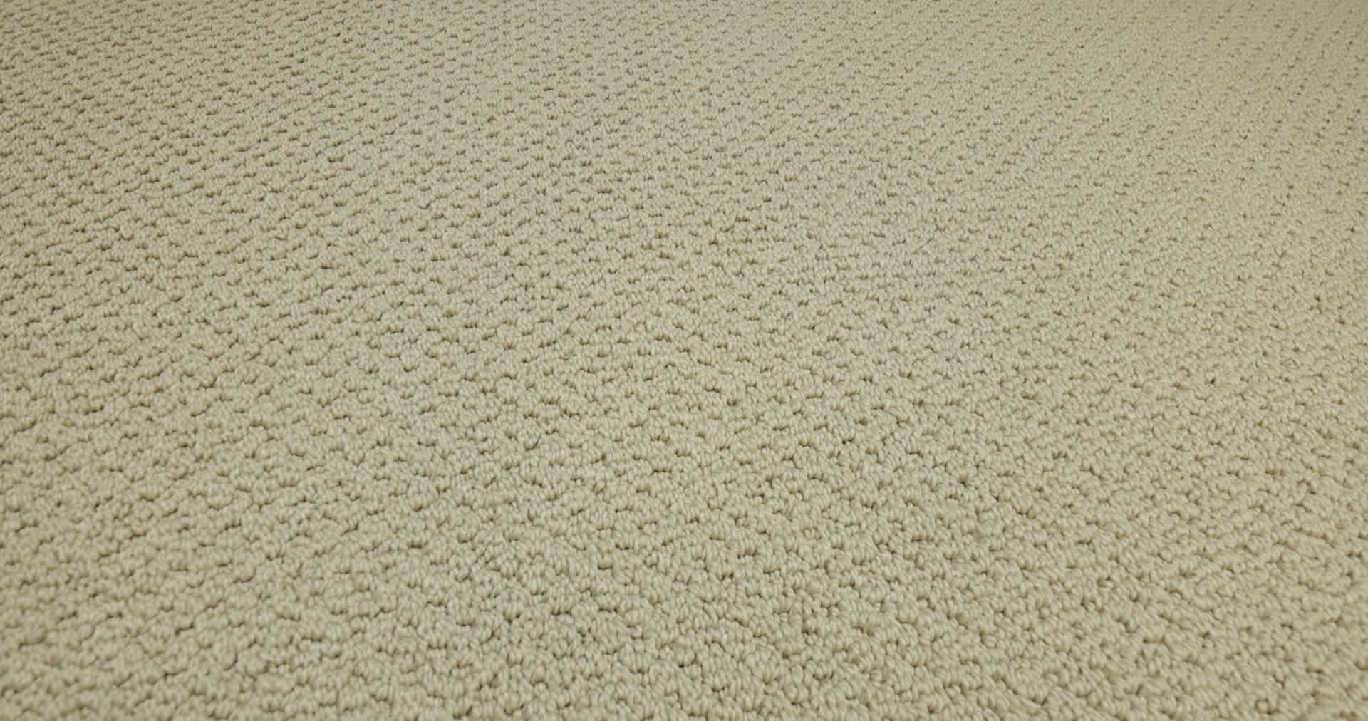 GRACIOUS SHORELINE 360PROD