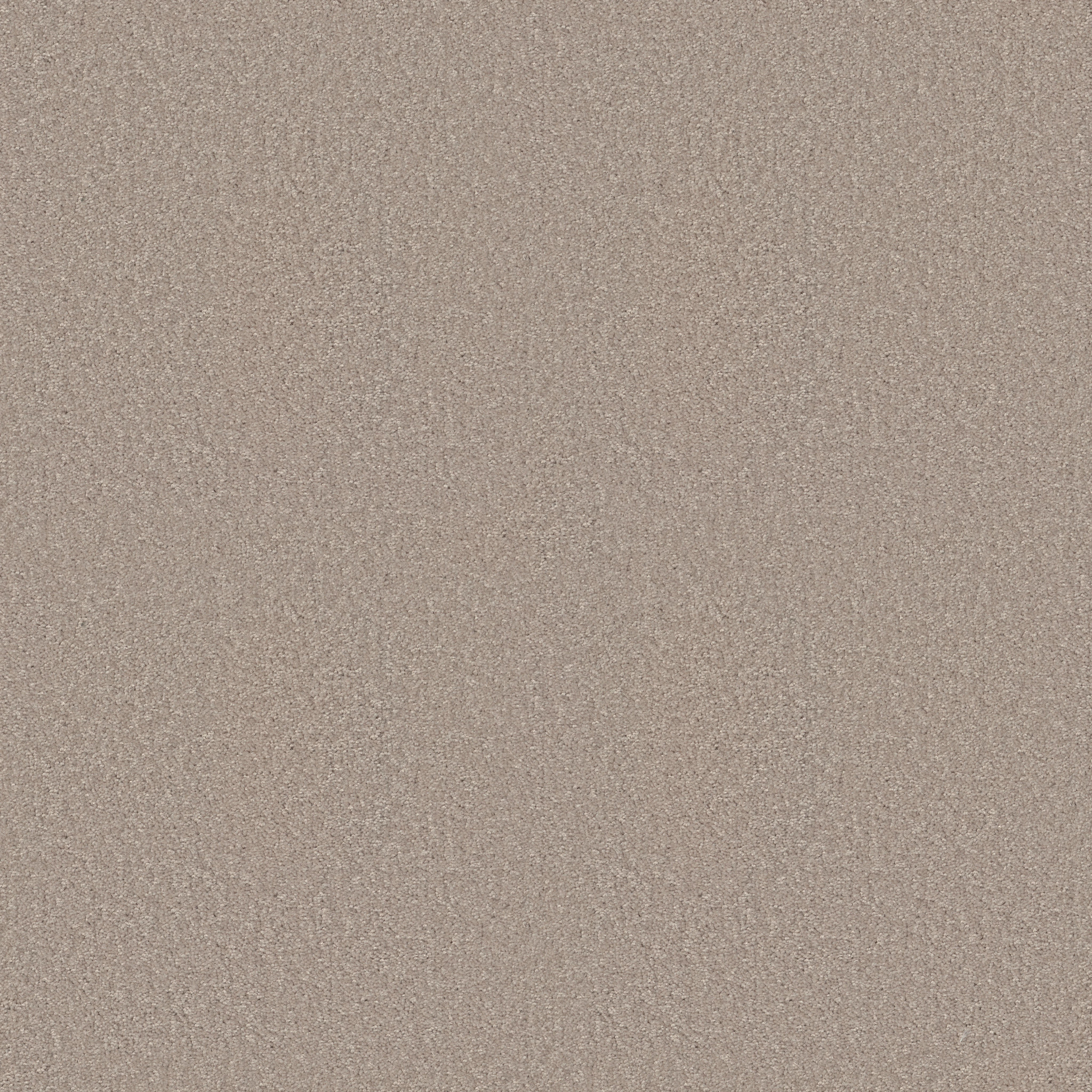 HOLLYWOOD REGENCY II 15' COOKIE DOUGH MAIN