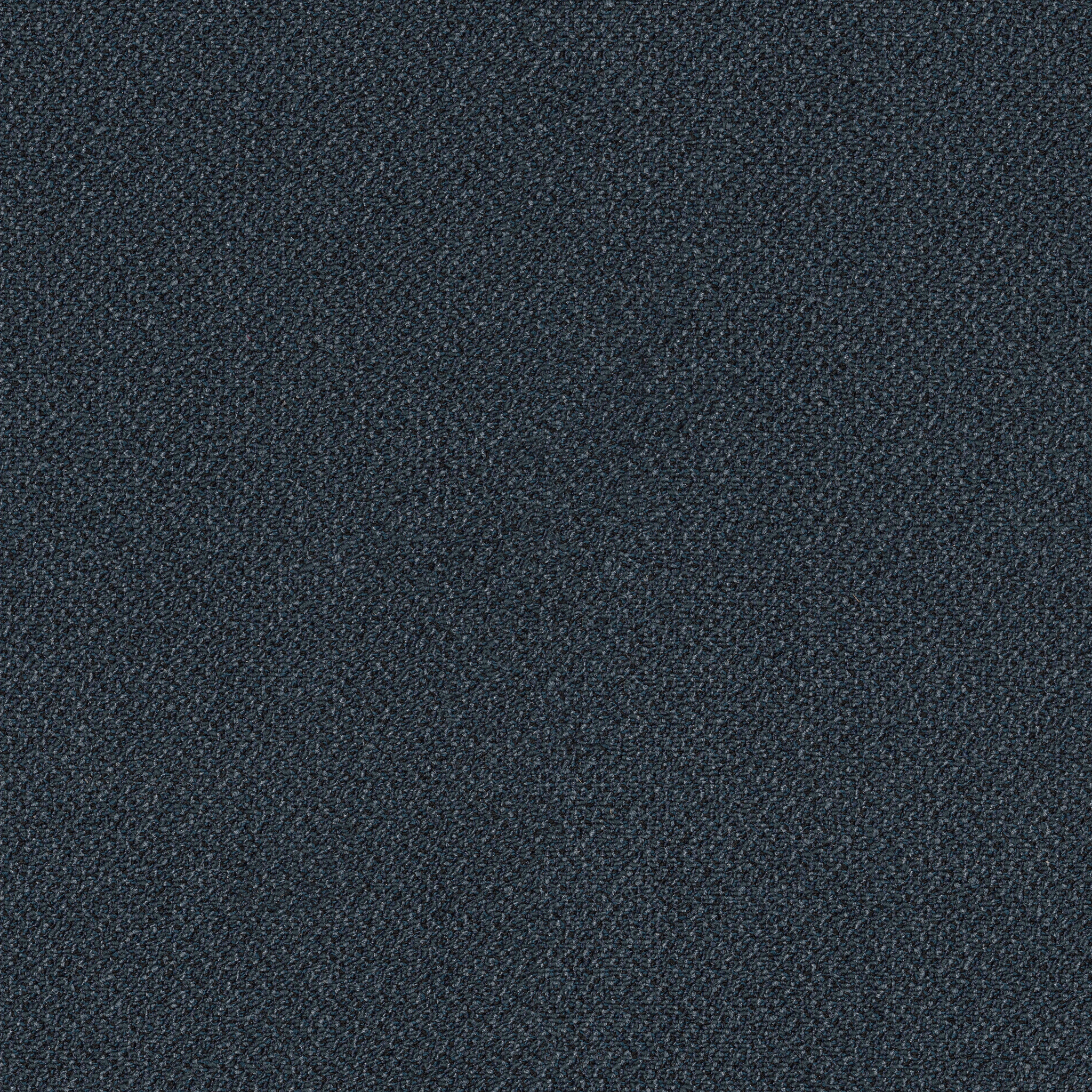 SMALL-WONDER-54984-DELIGHTFUL-84411-main-image