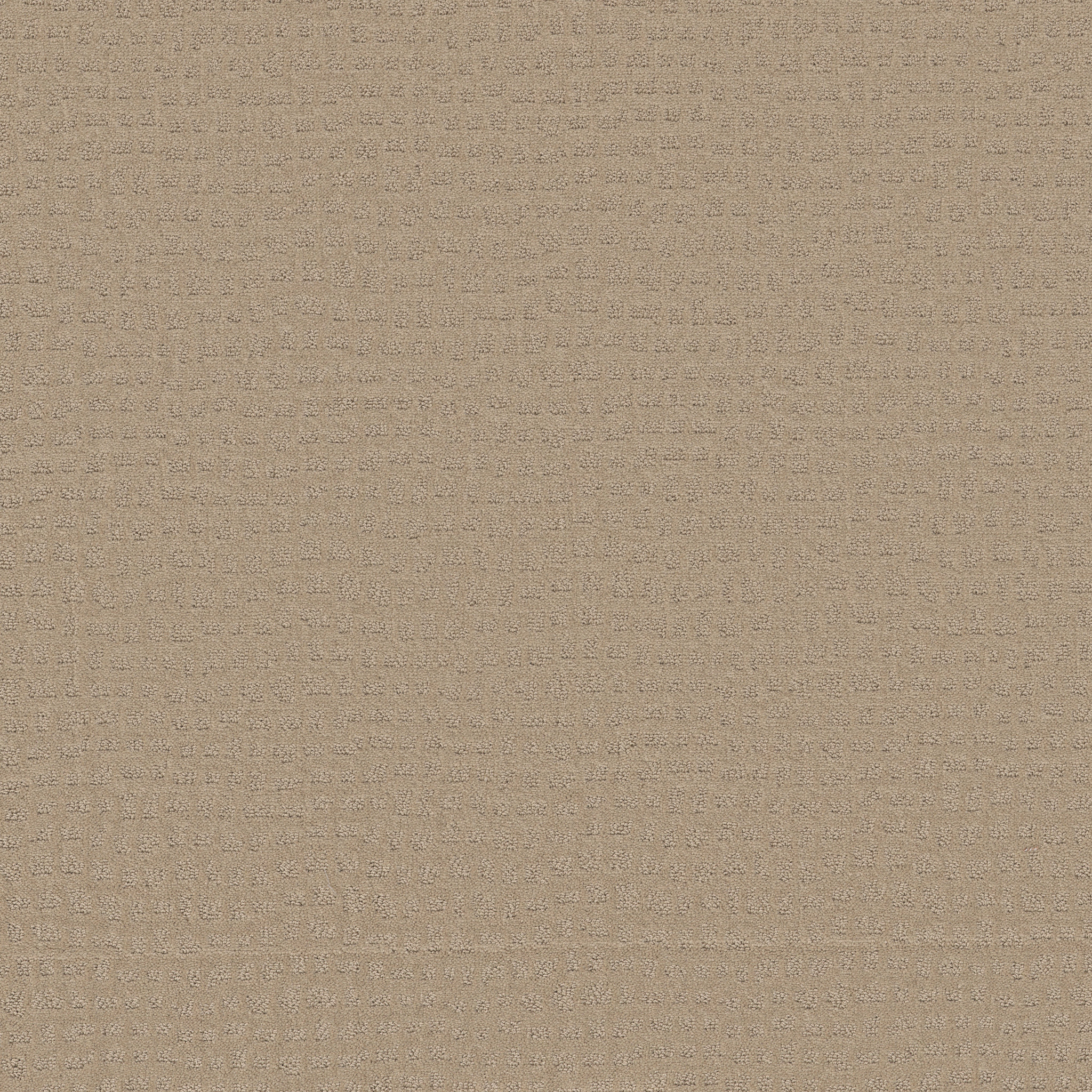 SOLSTICE TERRAZO MAIN