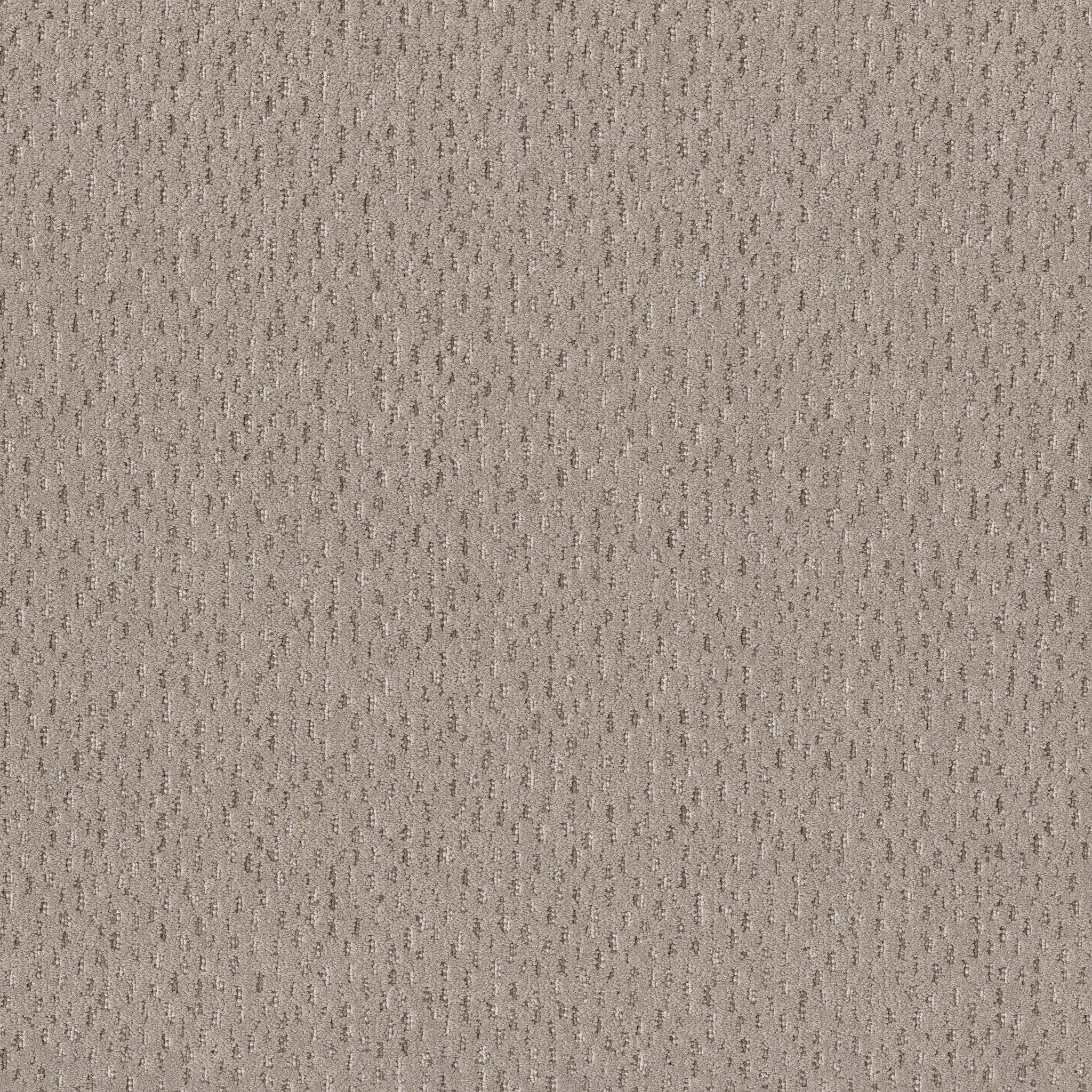 AMBITIOUS PEBBLE PATH MAIN