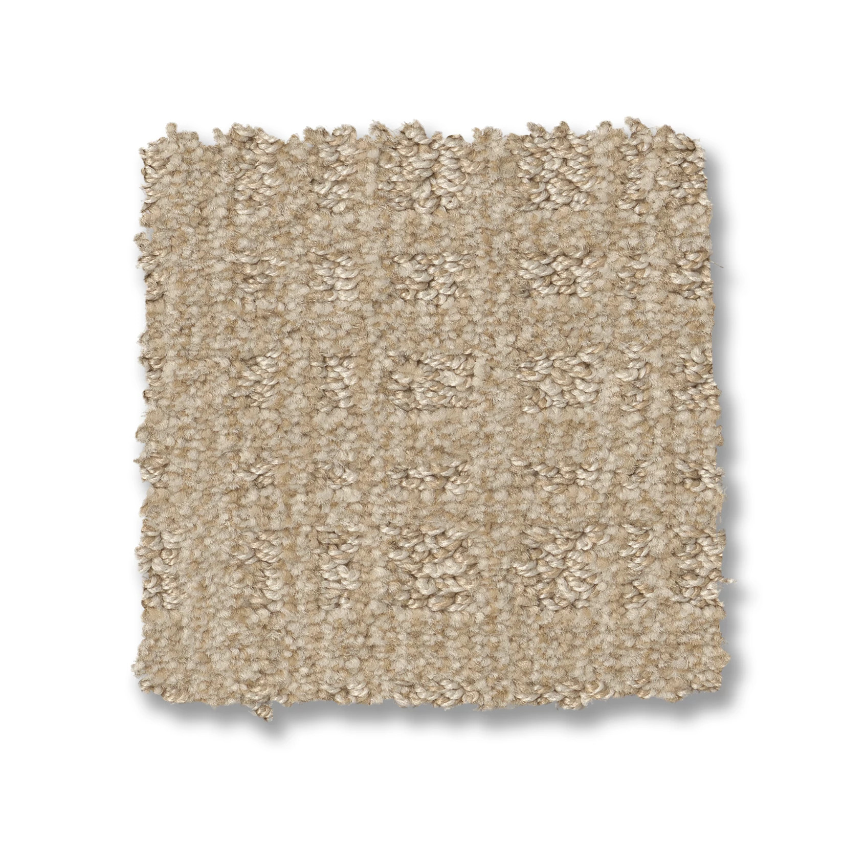 PURRSUASION BLONDE SWATCH