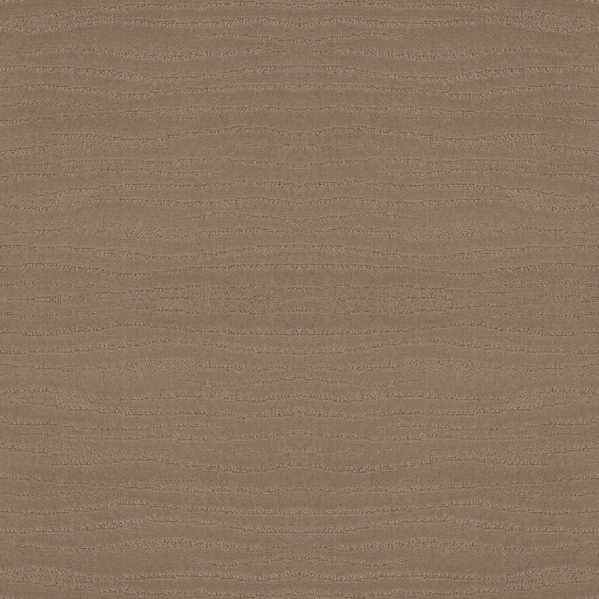 CAPISTRANO SIERRA HILLS MAIN