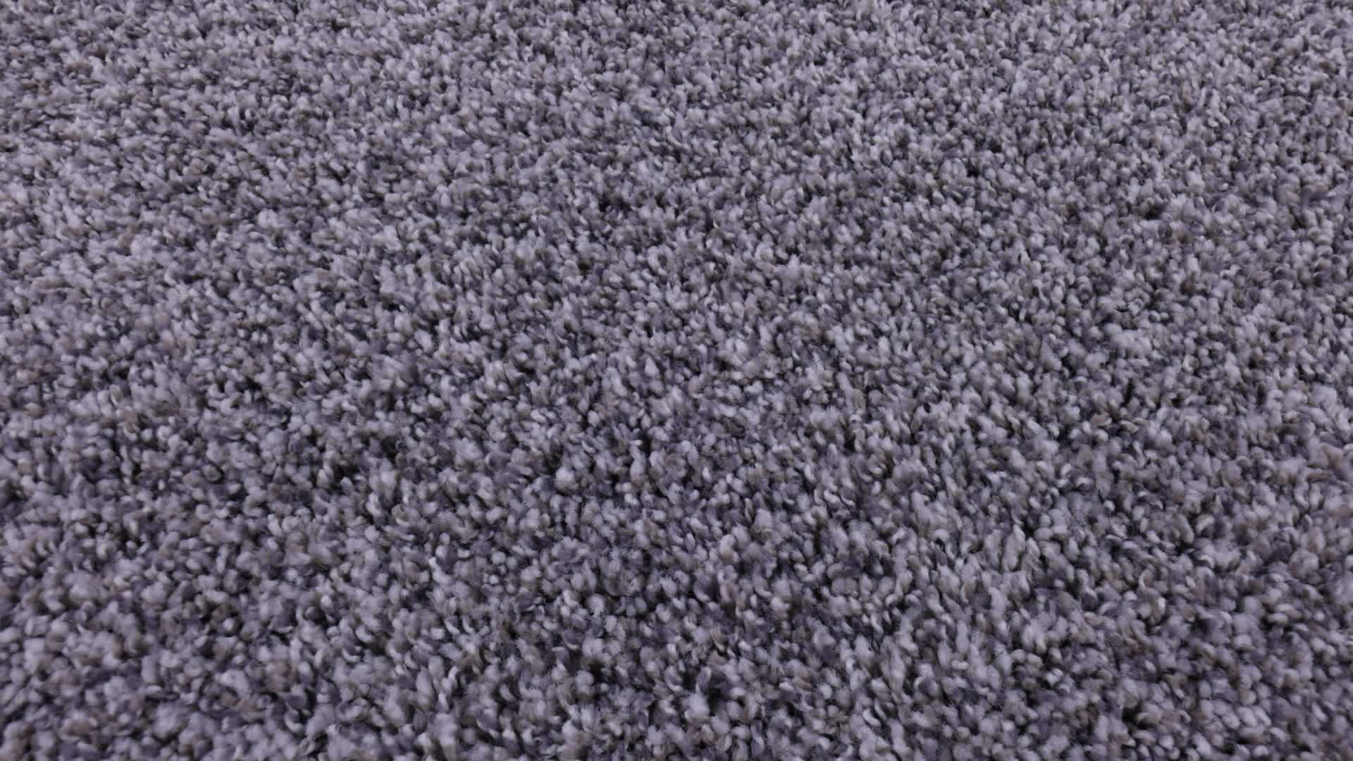 BREAK FREE OYSTER 360PROD