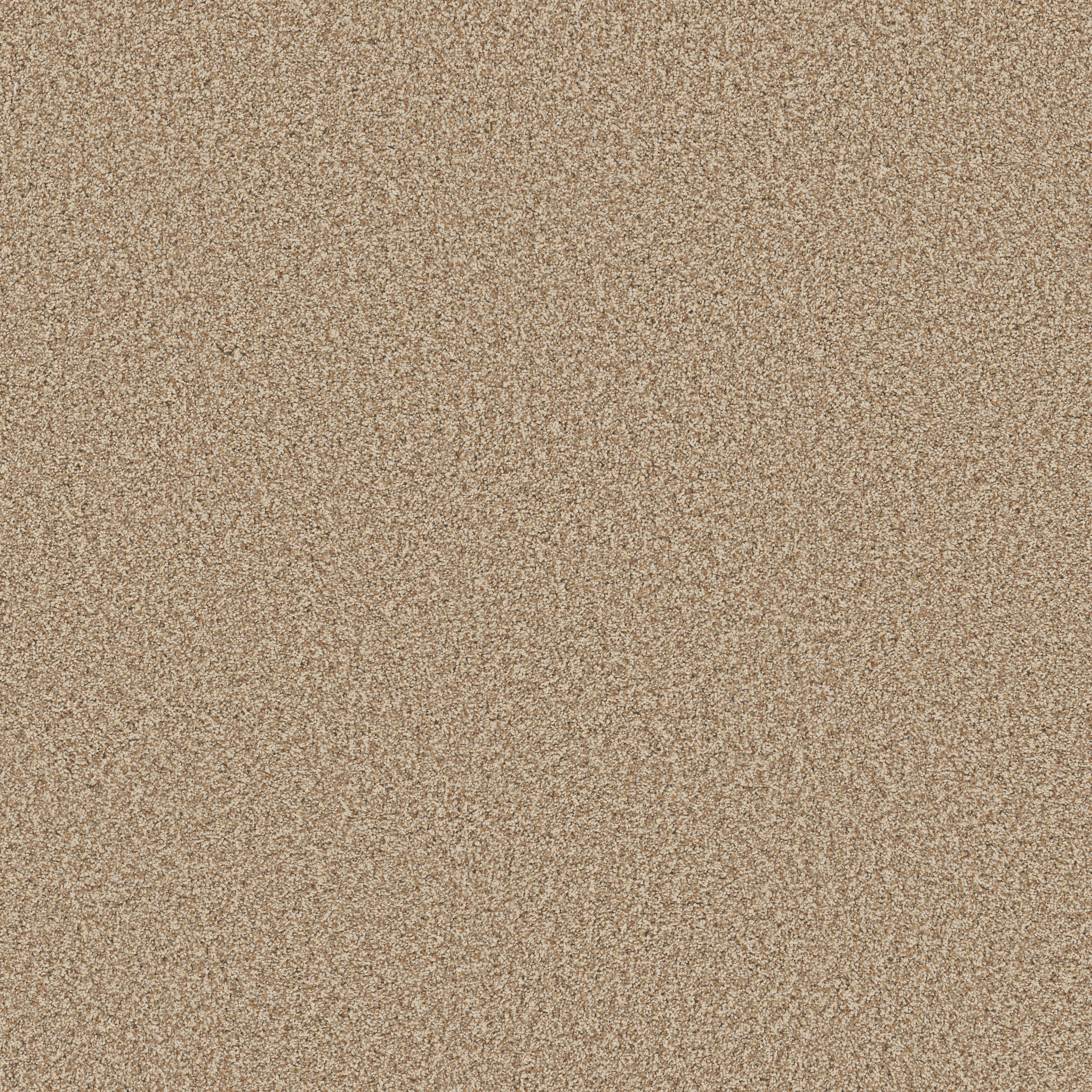 MIRA NOVA POTTER'S CLAY MAIN