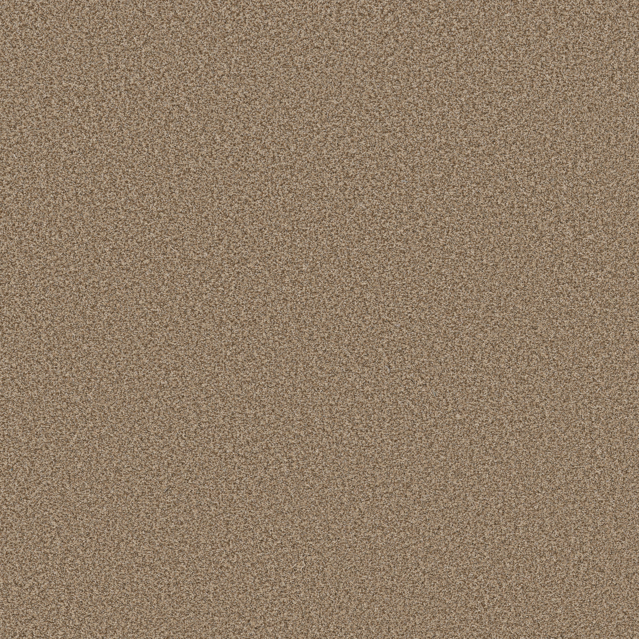 AVALON BAY TOASTY MAIN