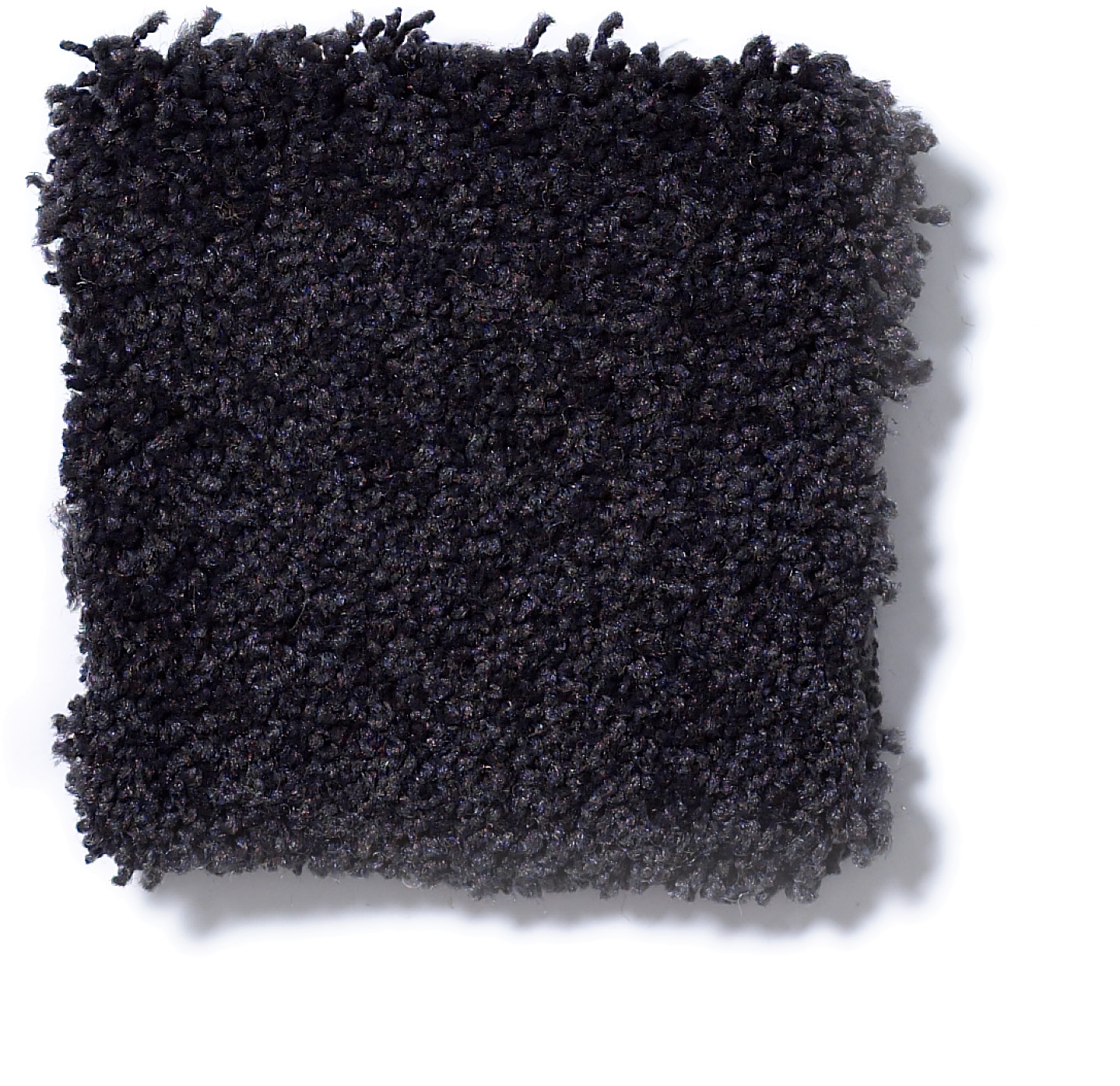 SANDY HOLLOW CLASSIC IV 12' GRAPHITE SWATCH