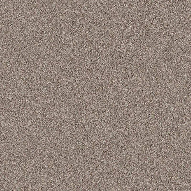 Salt Creek Beach SNS33 Berber Cut Pile Carpet in Barn Wood, 12ft wide, 100% Nylon material