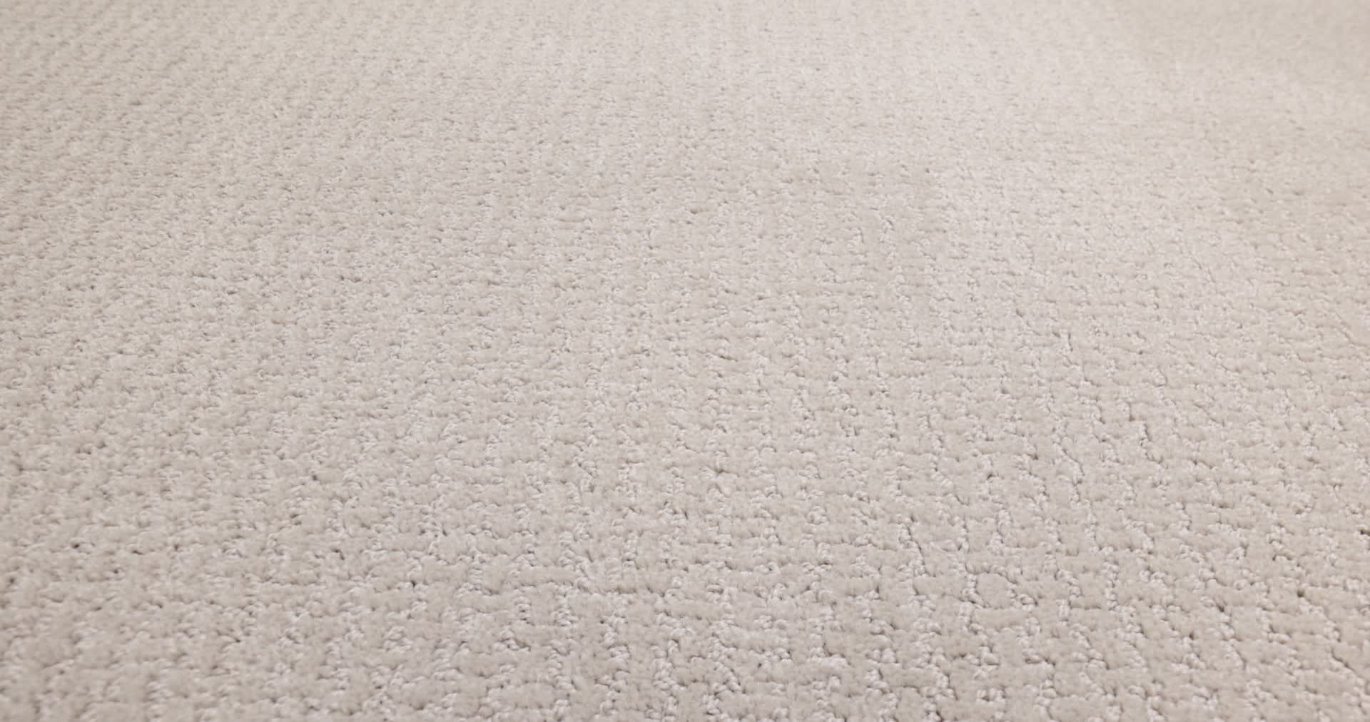 WARM MEMORIES SHORELINE HAZE 360PROD