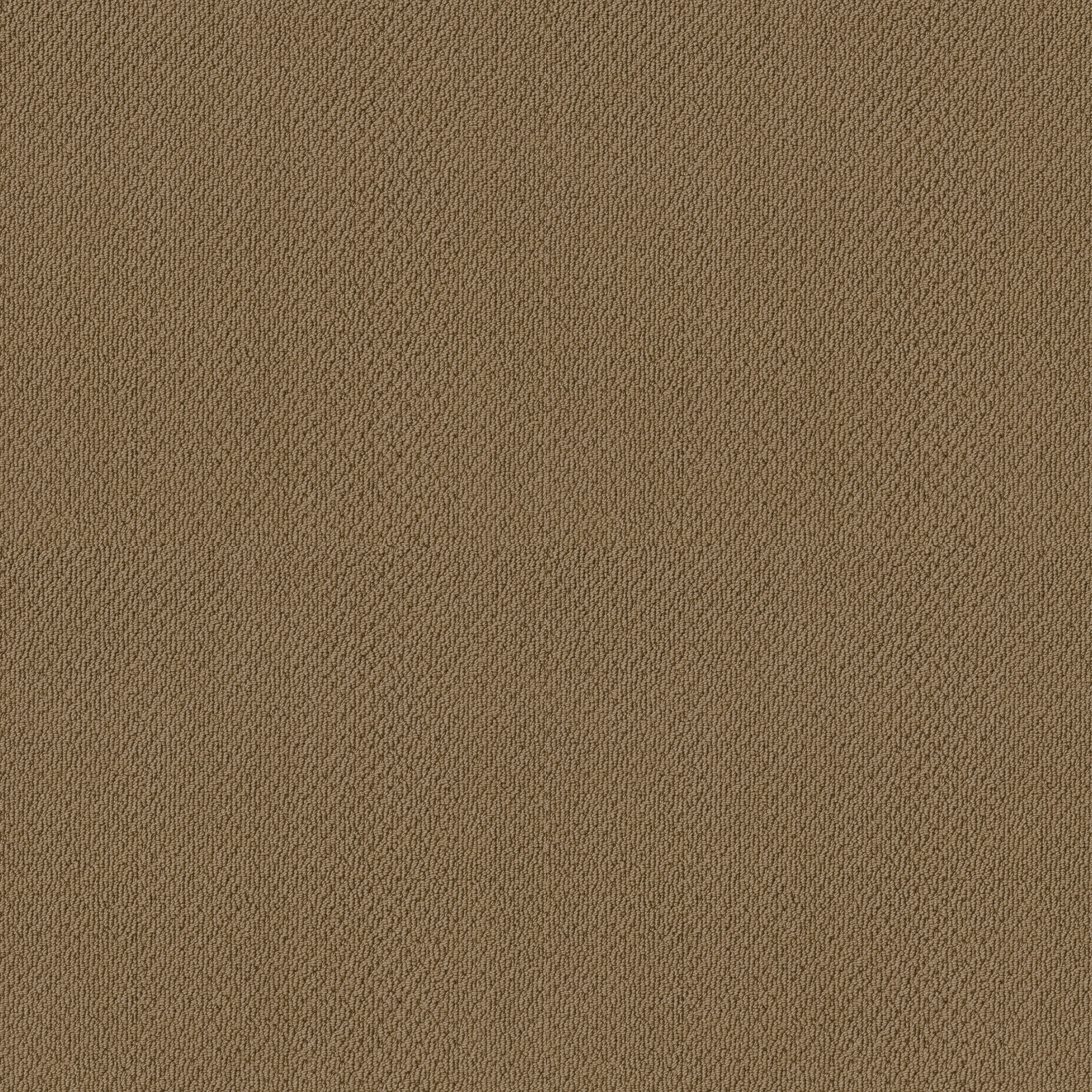 SINCERE BEAUTY LOOP HONEY POT MAIN