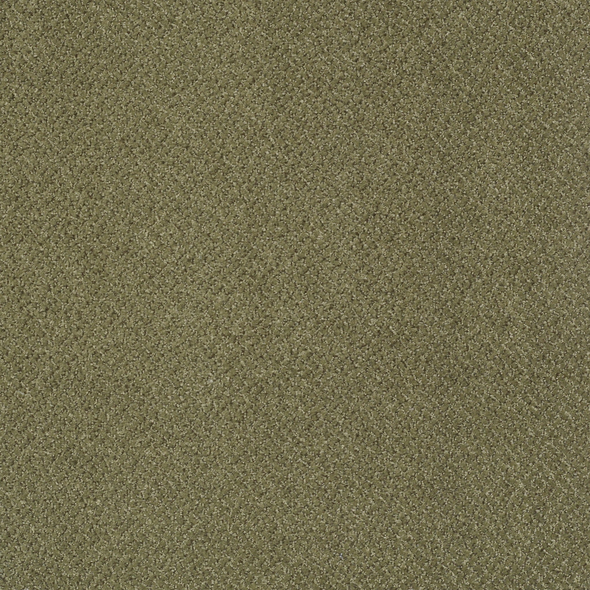 PRIMUS-54510-TO-BEGIN-WITH-10300-main-image