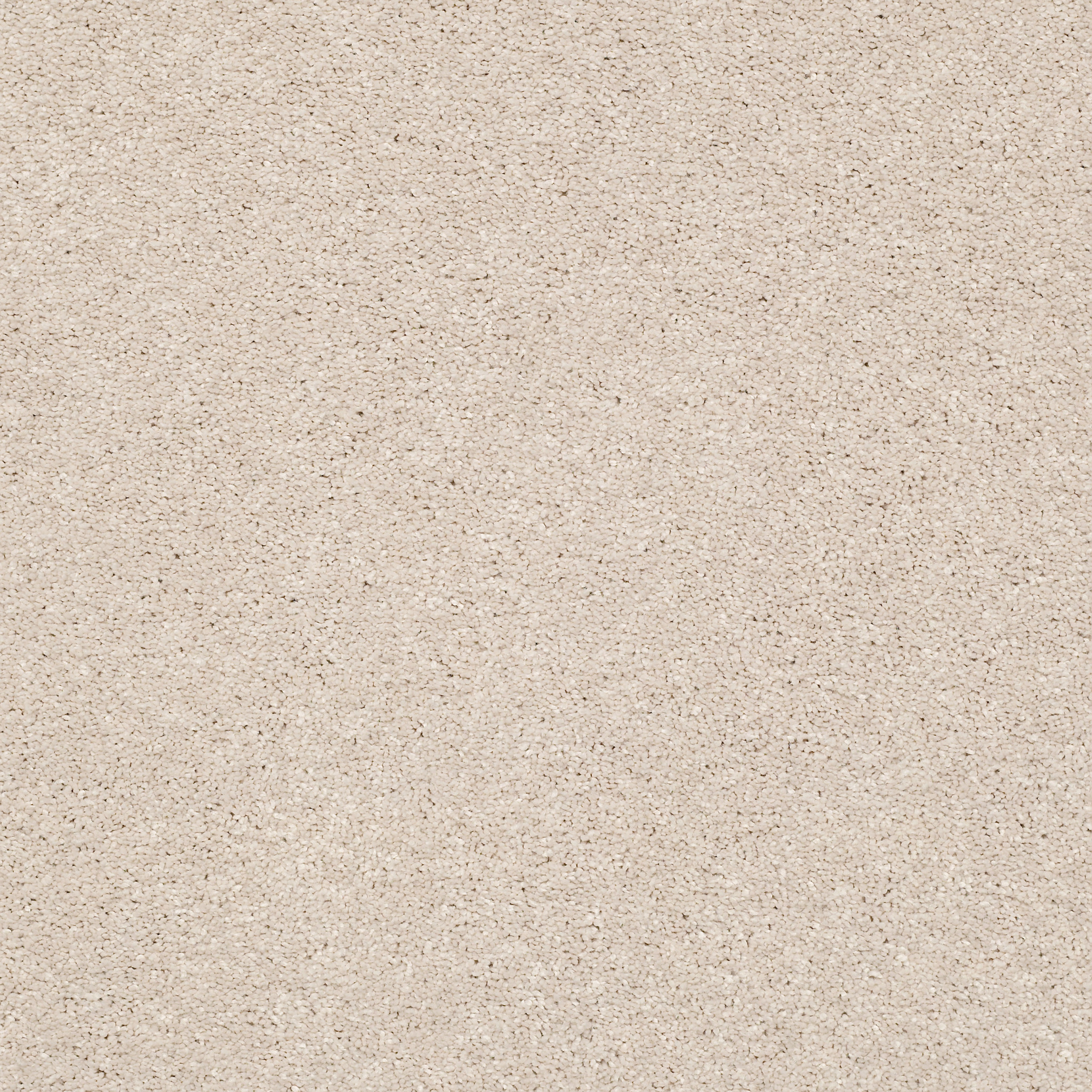 BASIC RULES BLUSH MAIN