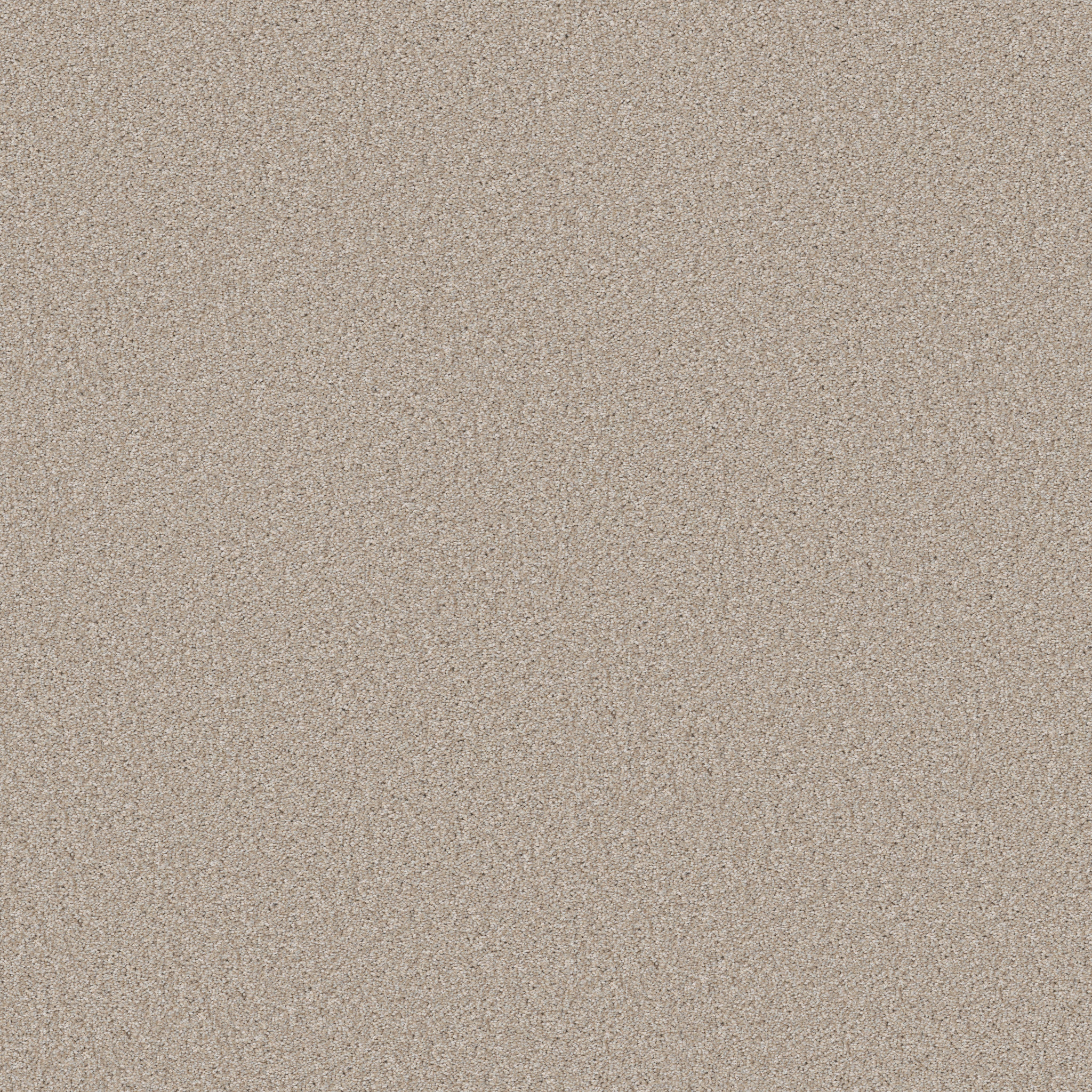 GOOD MOVE III SANDY SHORE MAIN