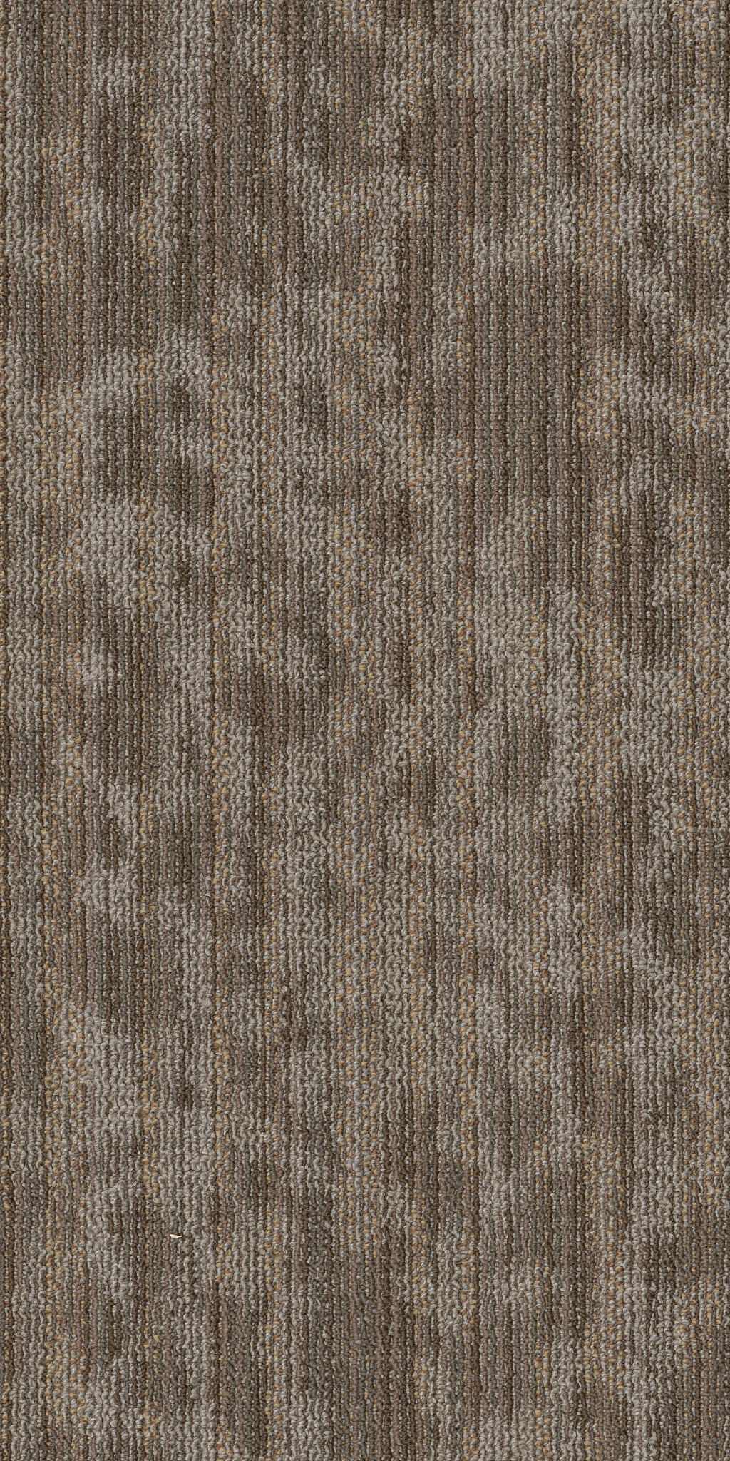 FOLIUM-TL-55009-CANOPY-00710-main-image