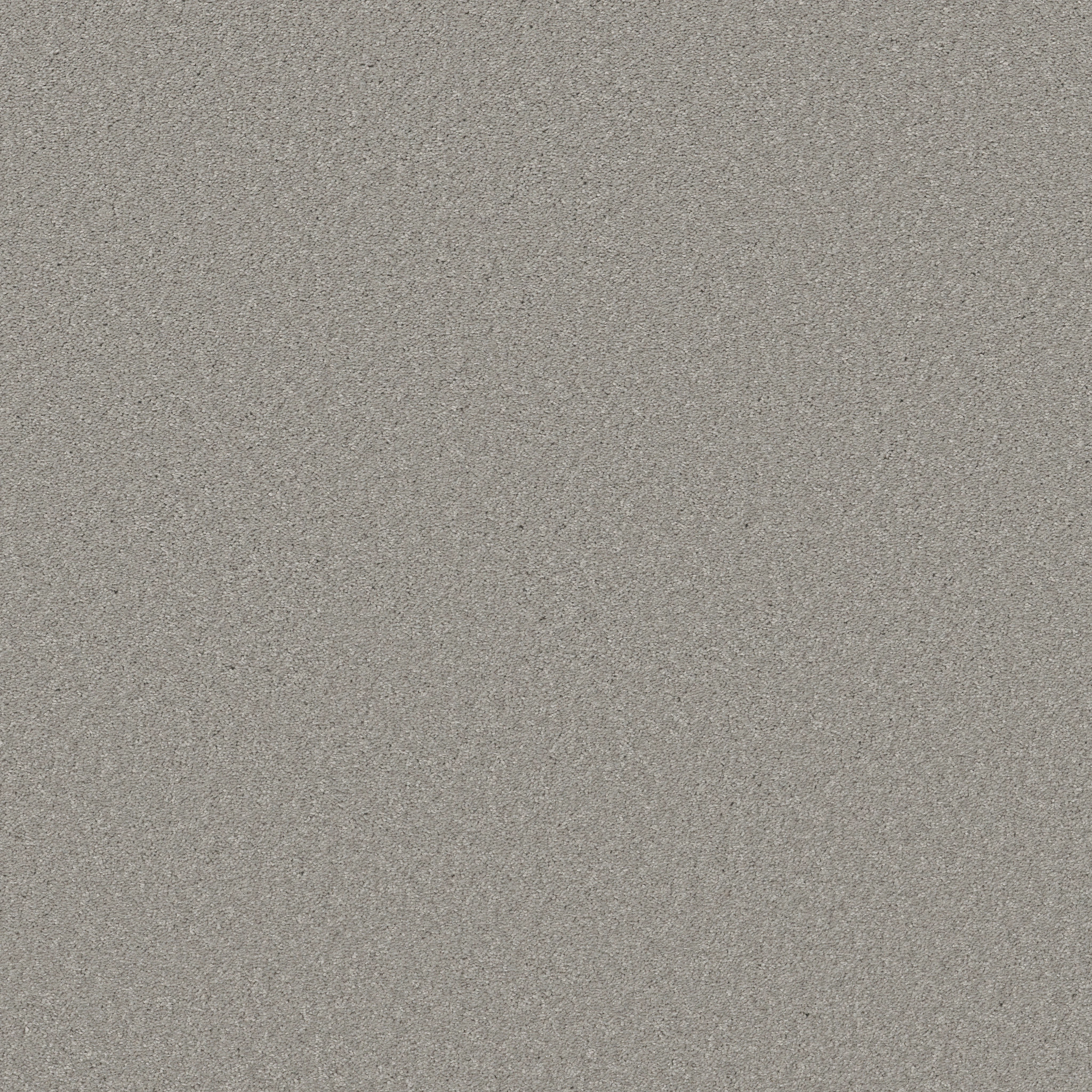 BEST YET SHEER SILVER MAIN