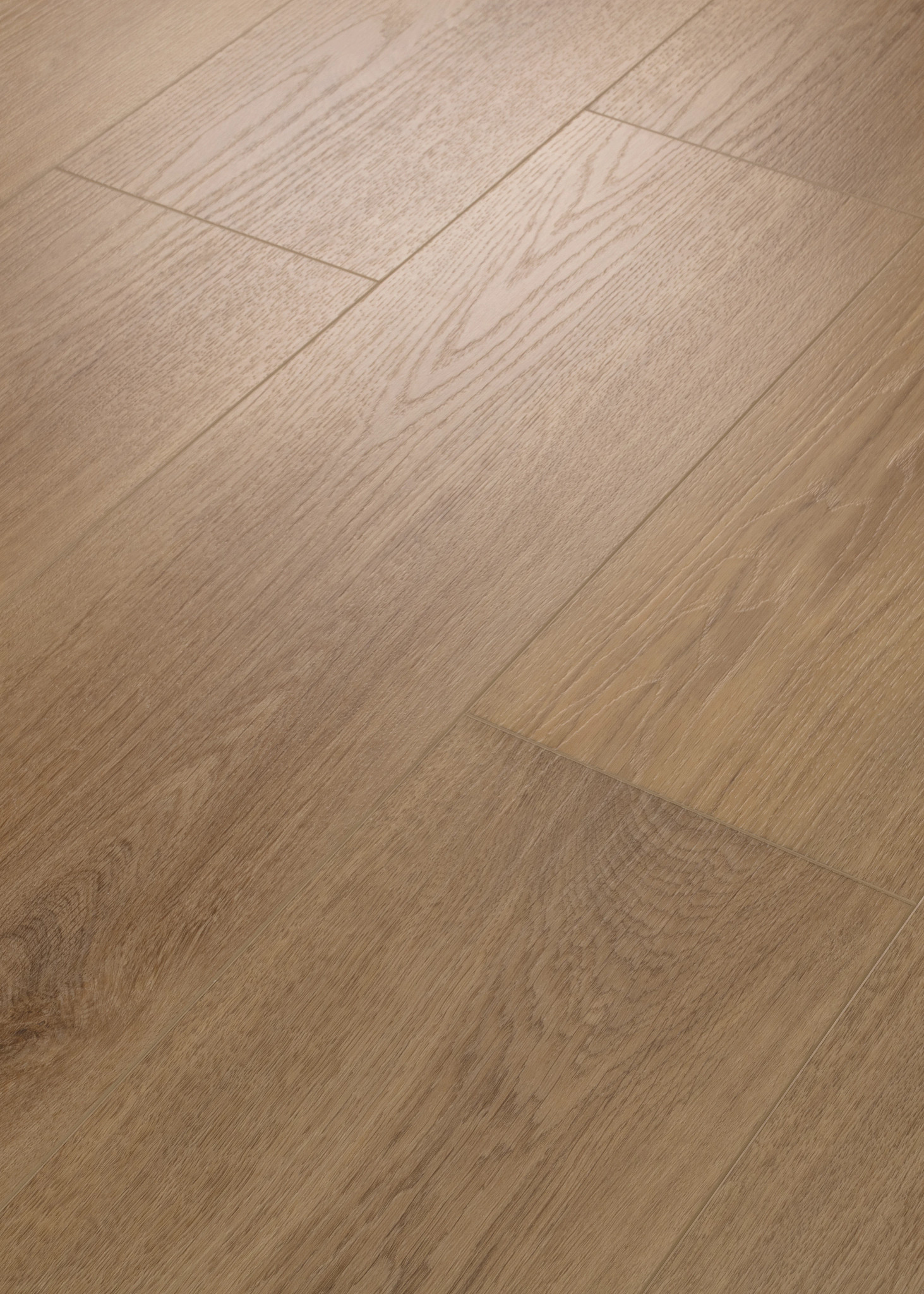 BRIARD TUSK OAK ANGLED