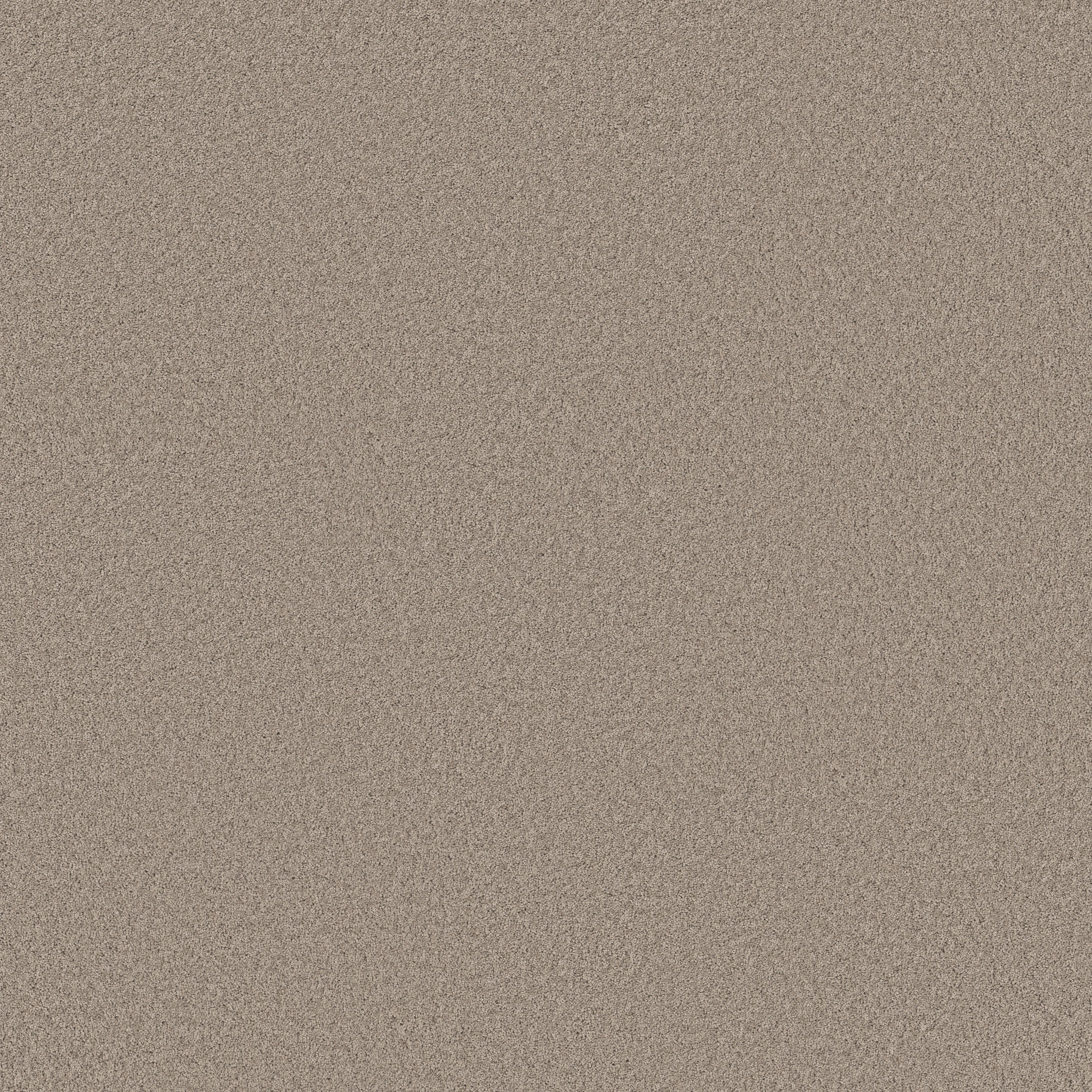 PURE AFFECTION S ON THE EDGE MAIN