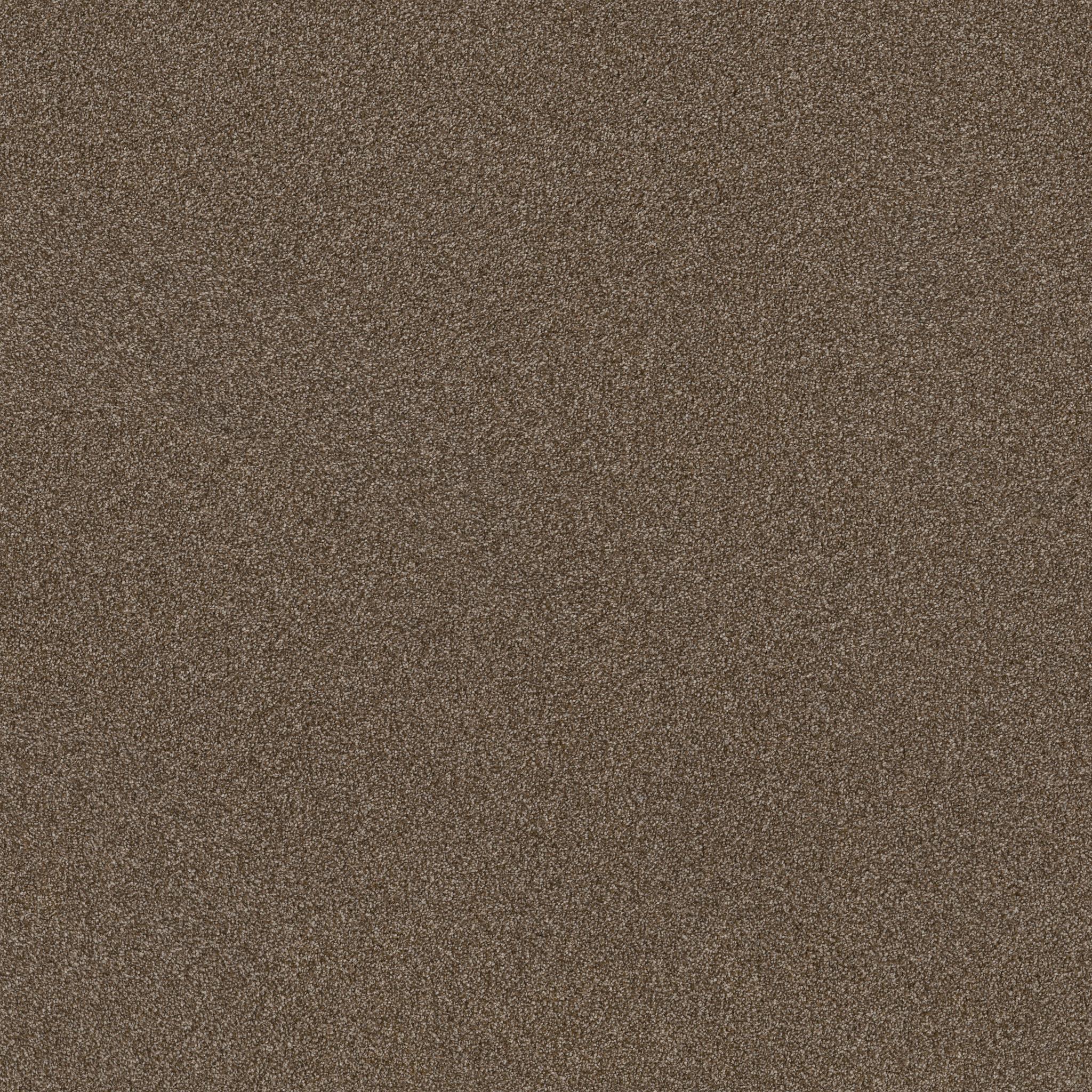 Trusplendor in Chestnut