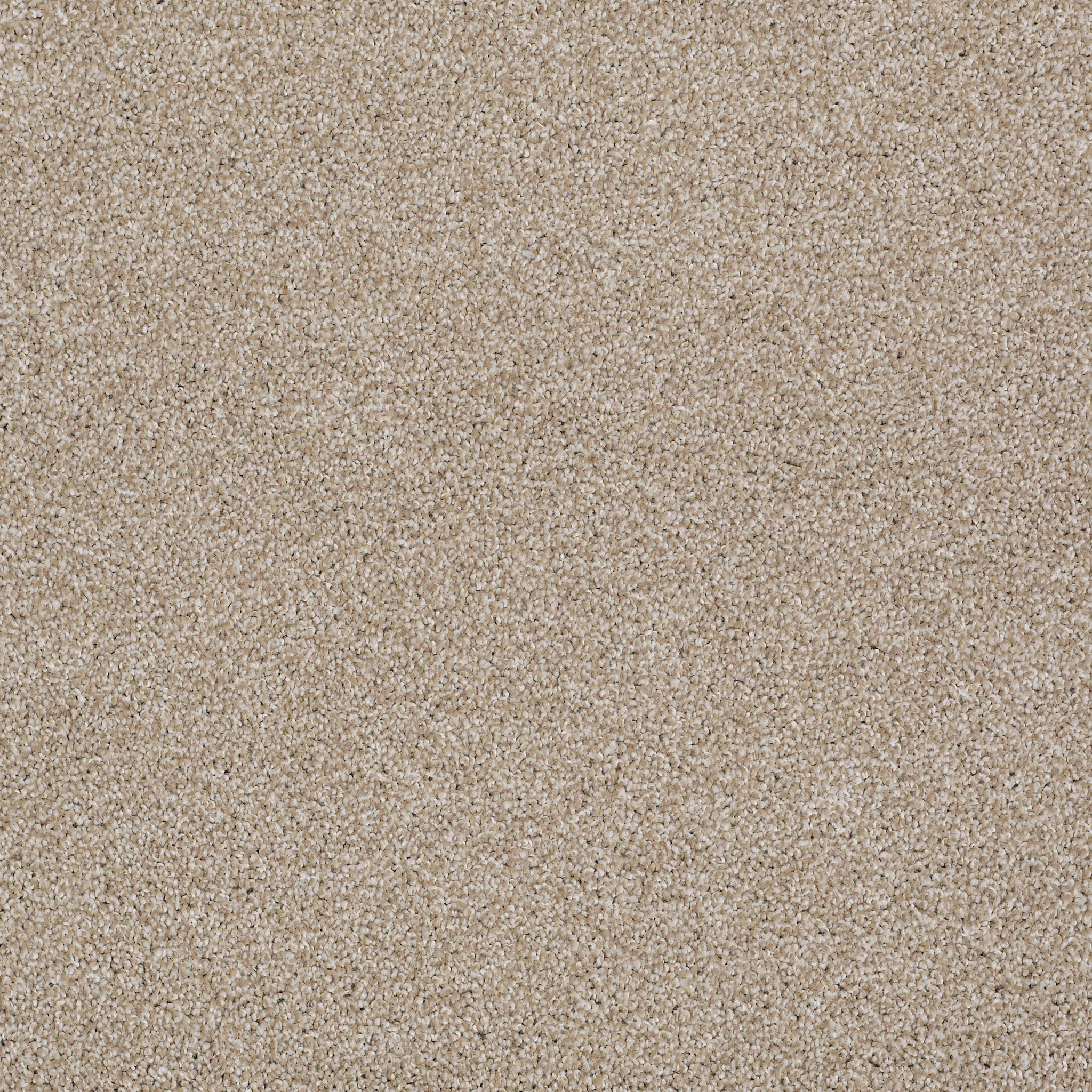 ALWAYS READY II PARK PLACE MAIN